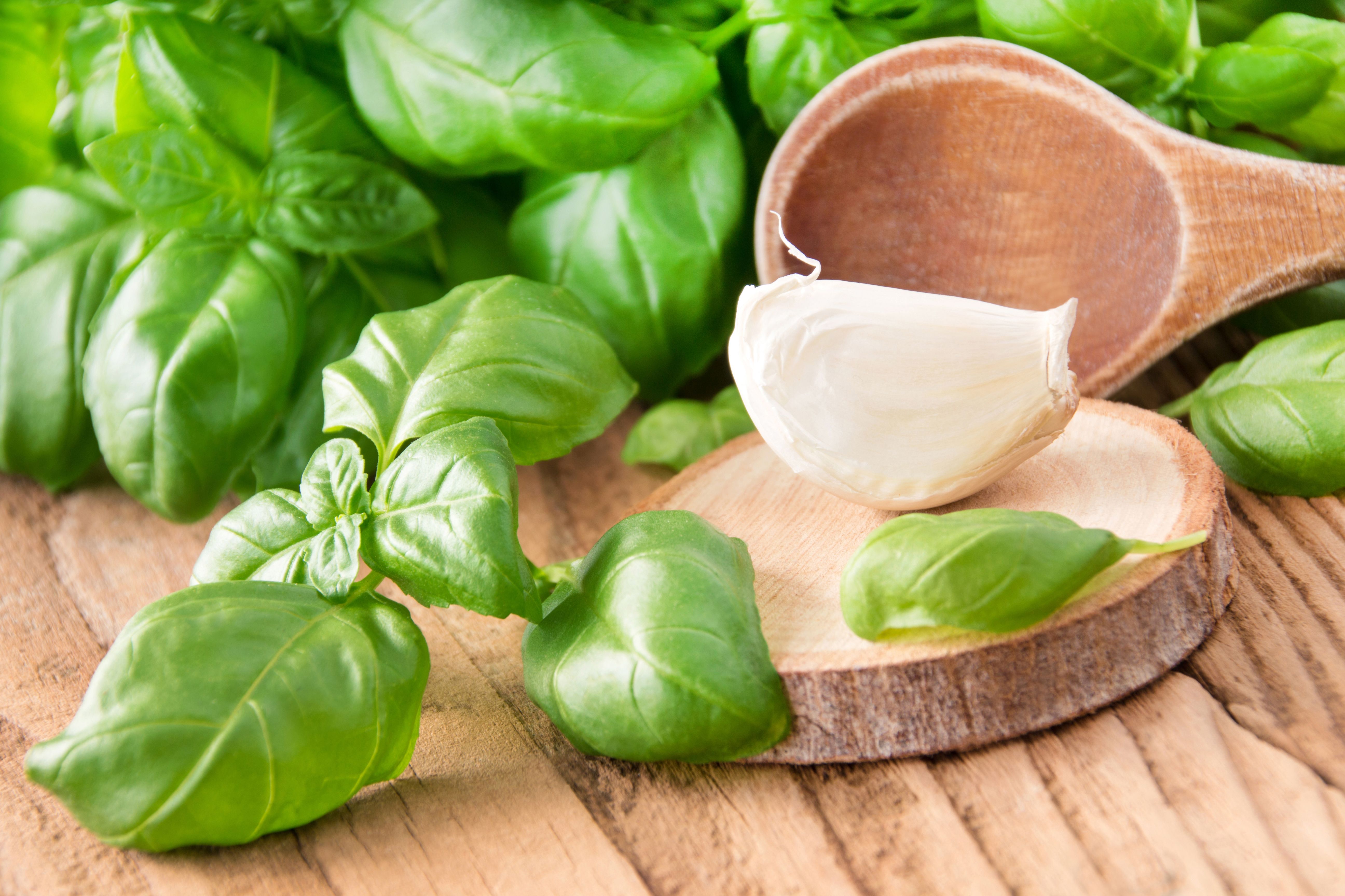 fresh basil garlic