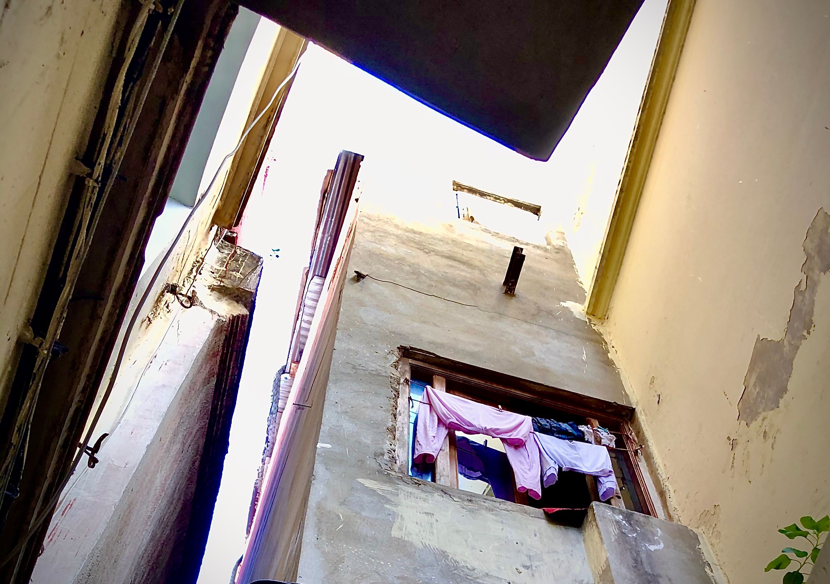 tangier brand identity