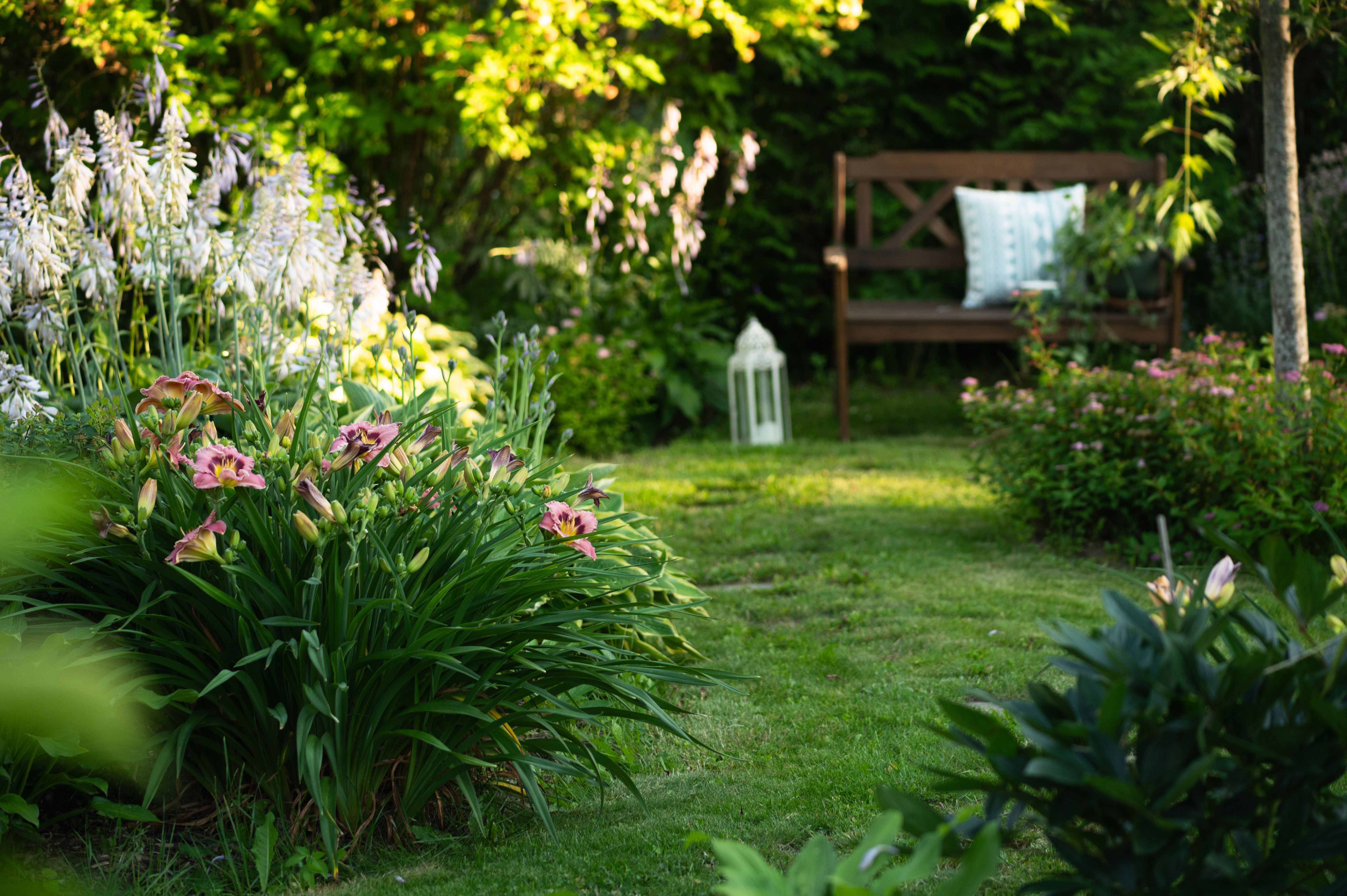 landscape design