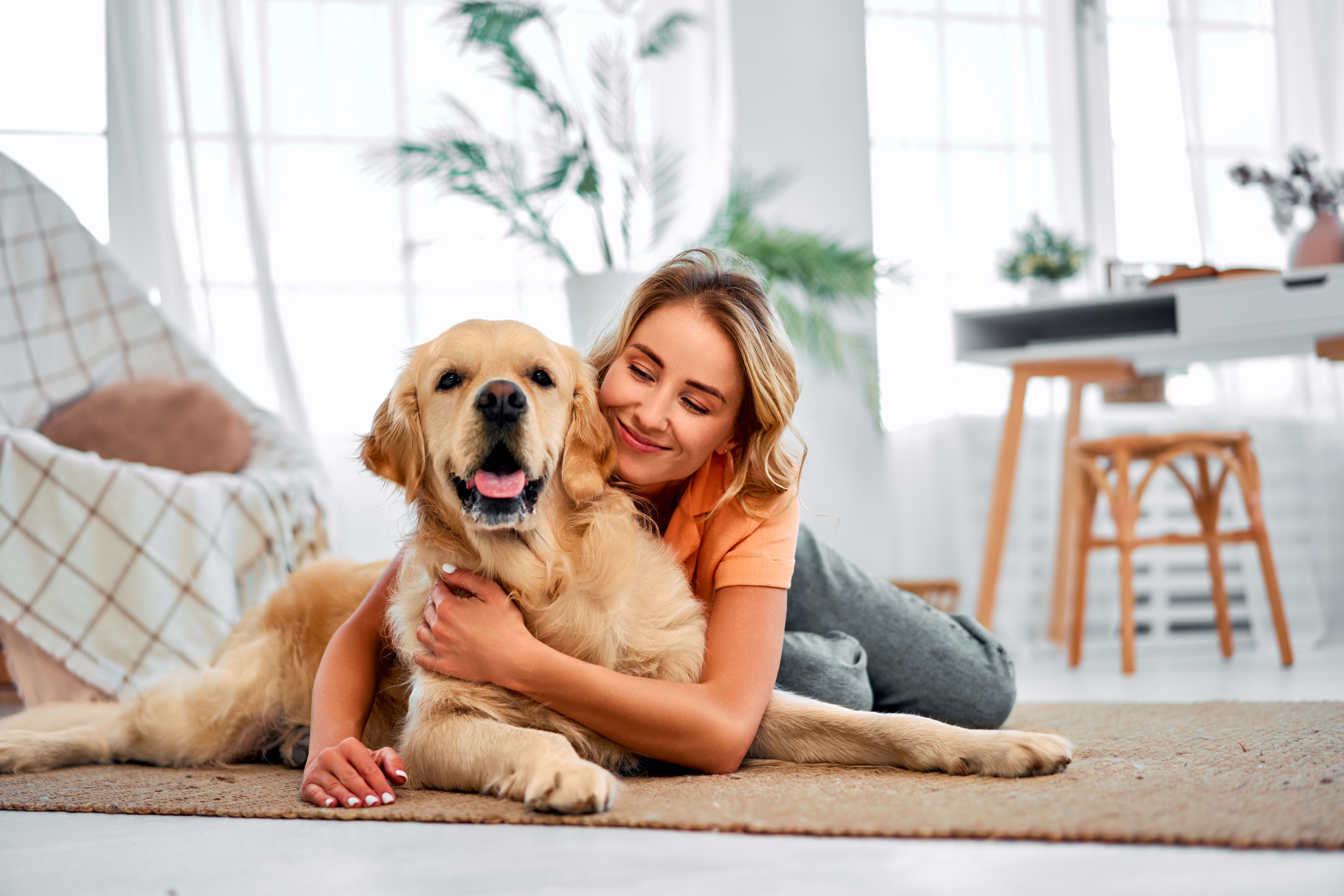 pet friendly home