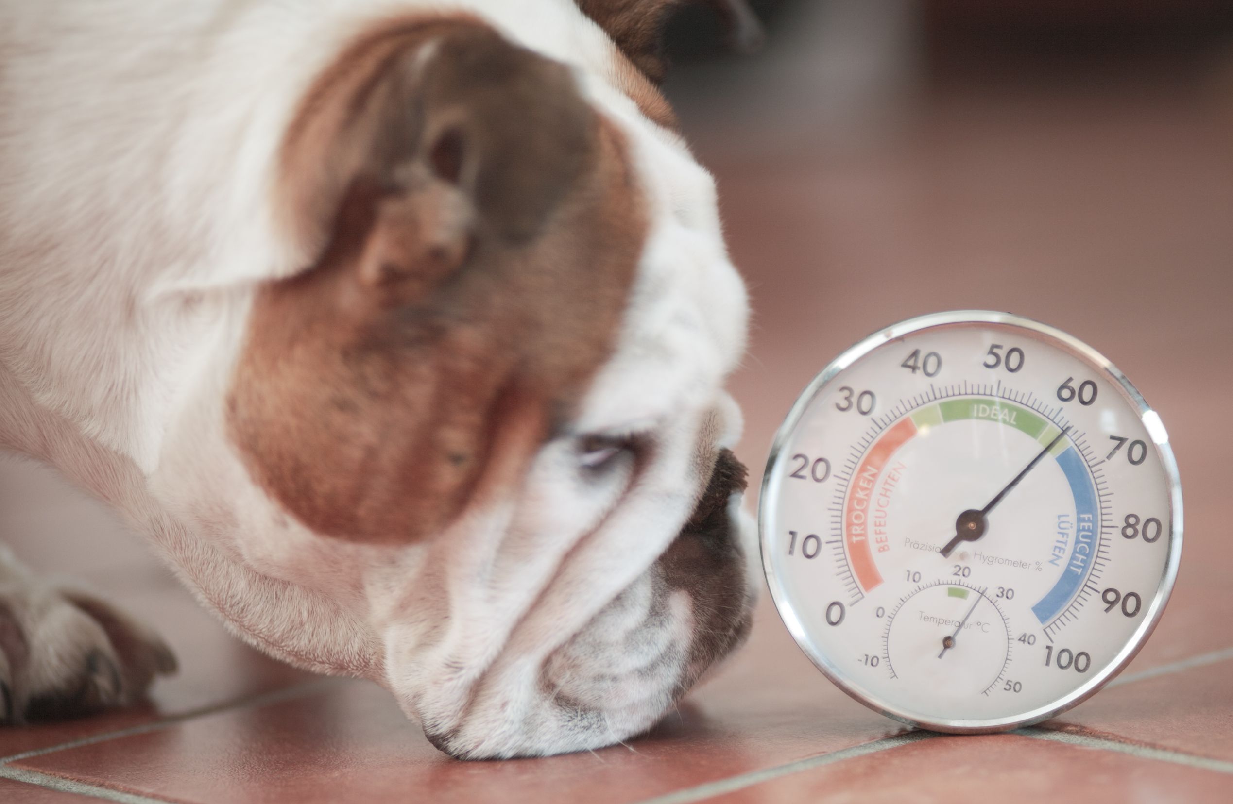 hygrometer home humidity