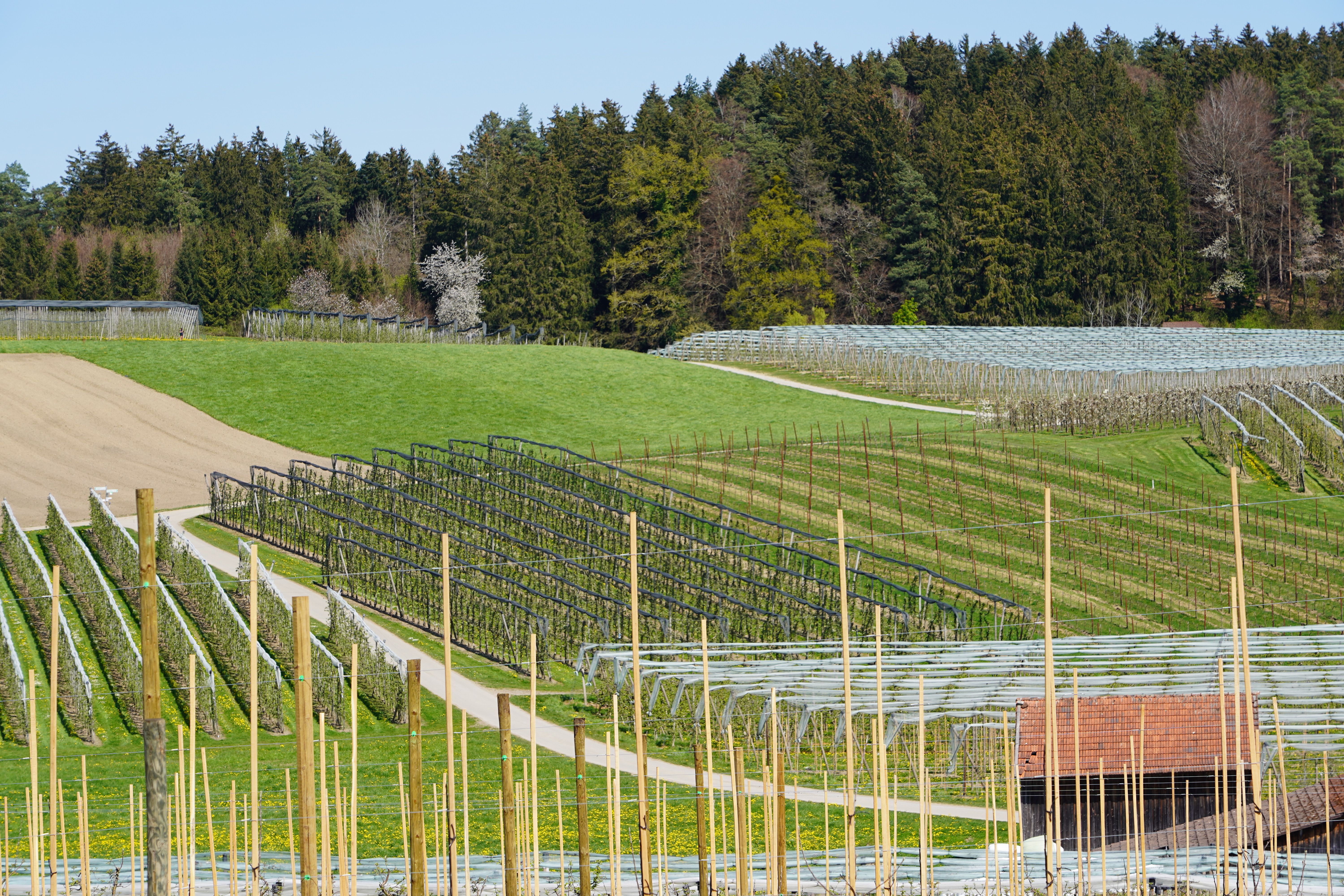 saisonale wirtschaft