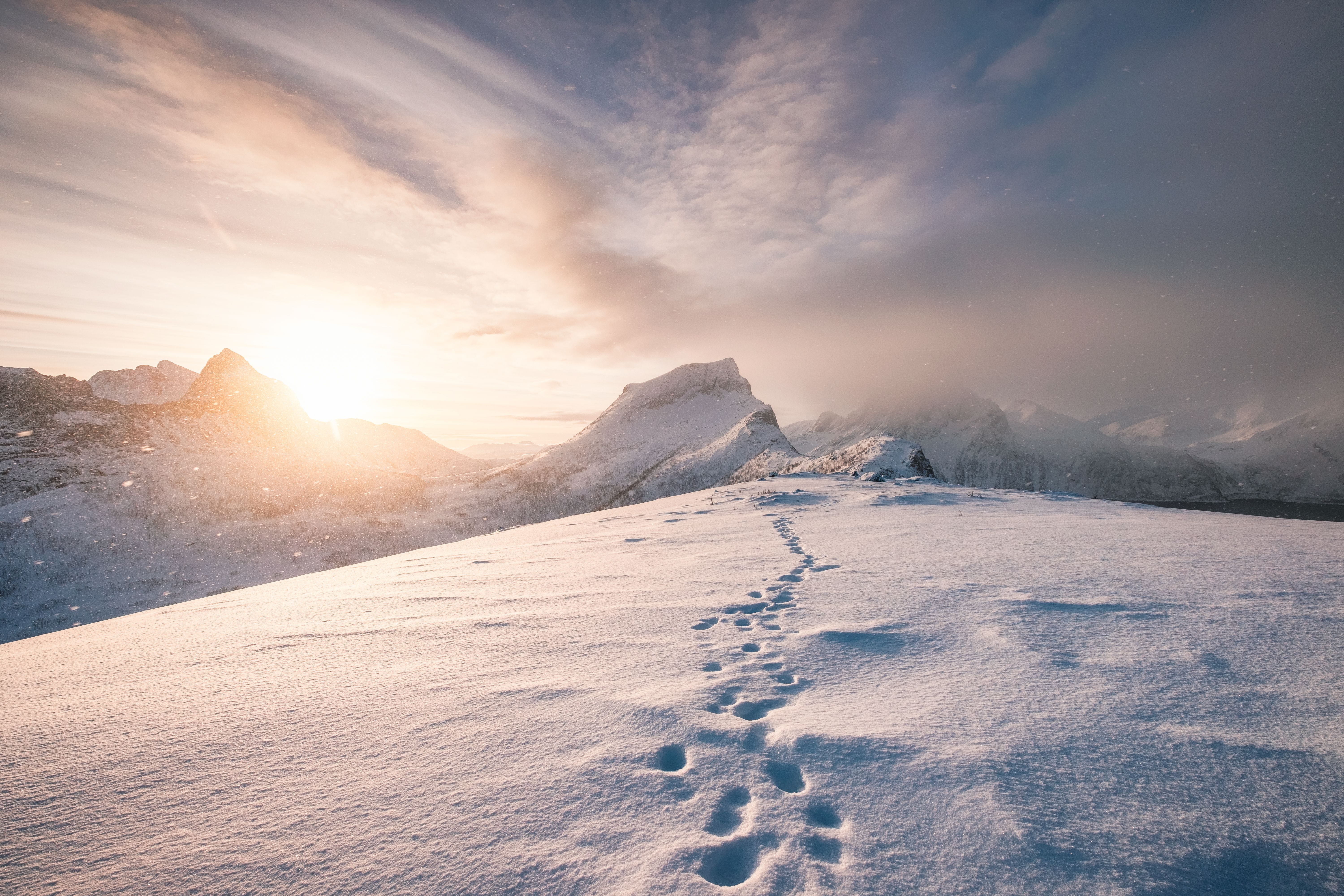 snowy path