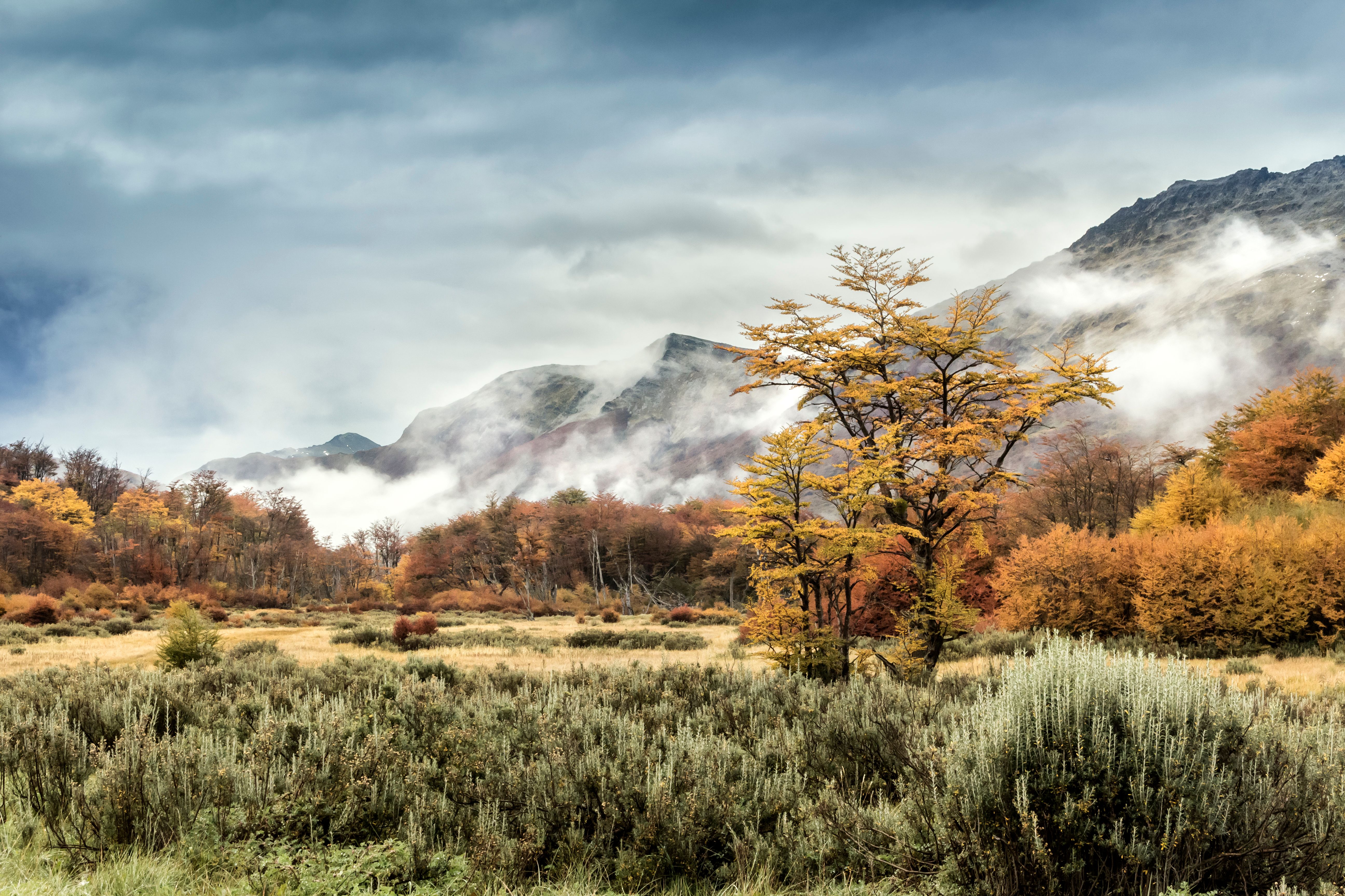patagonia argentina landscape