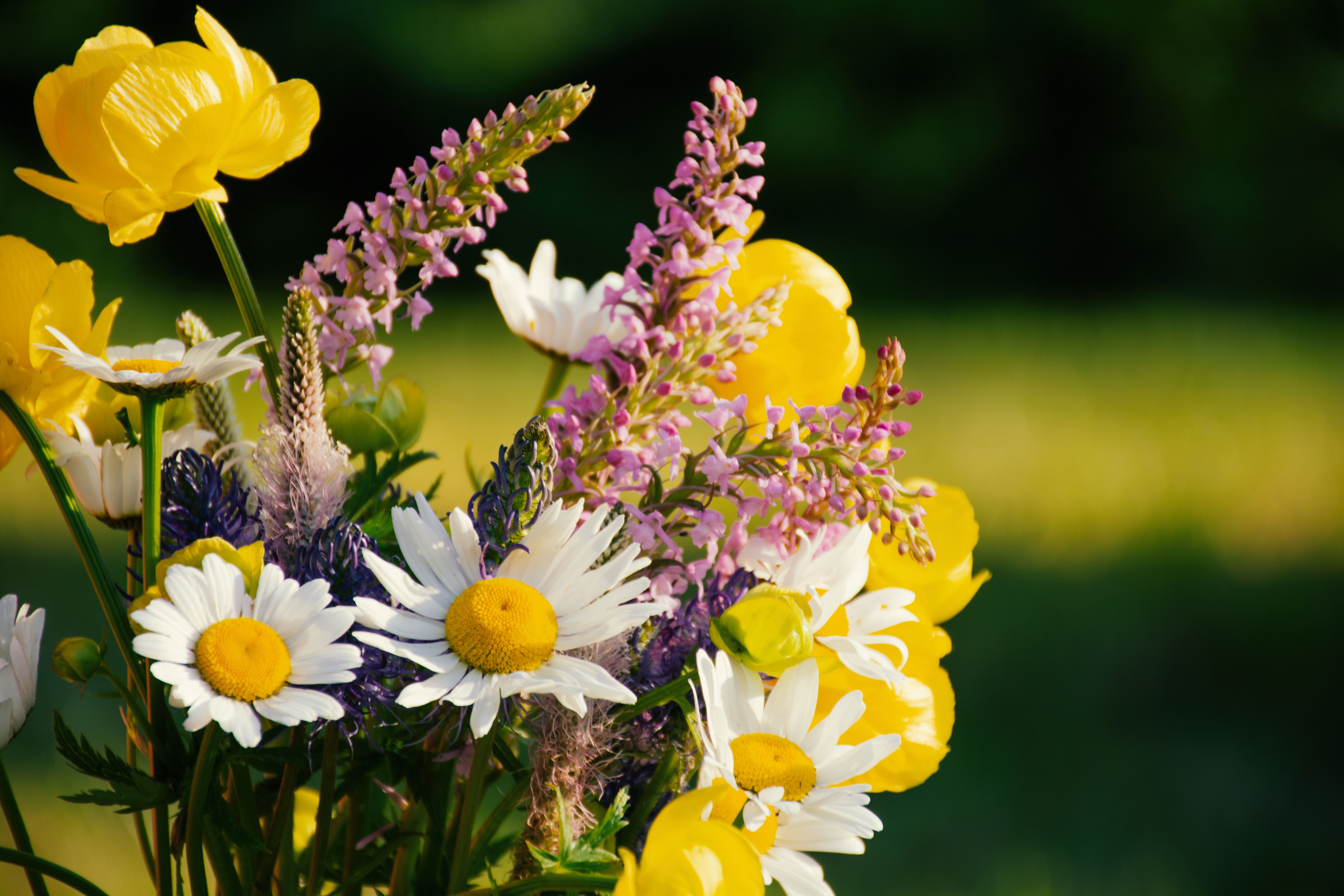 unique floral arrangements