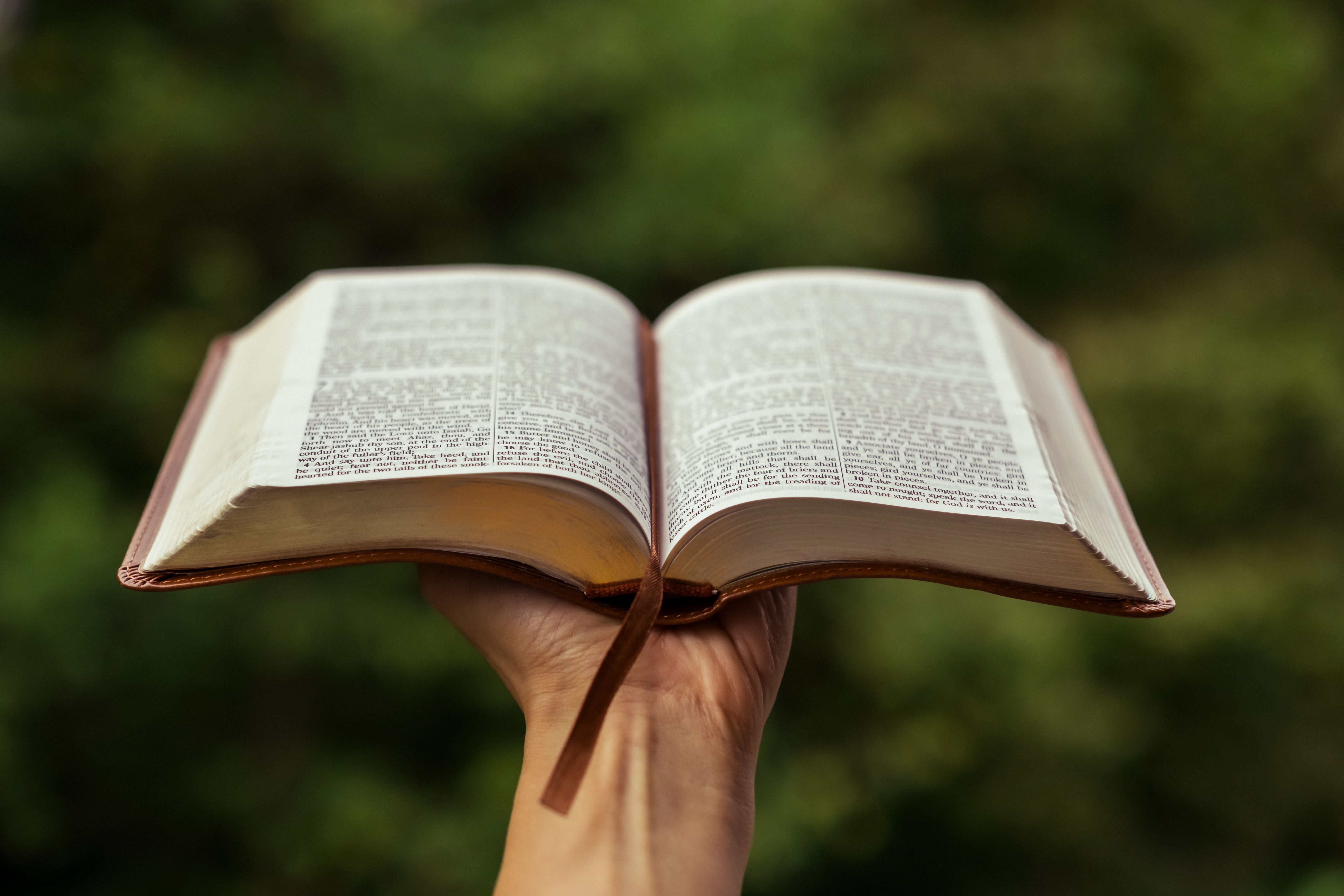 interactive bible study