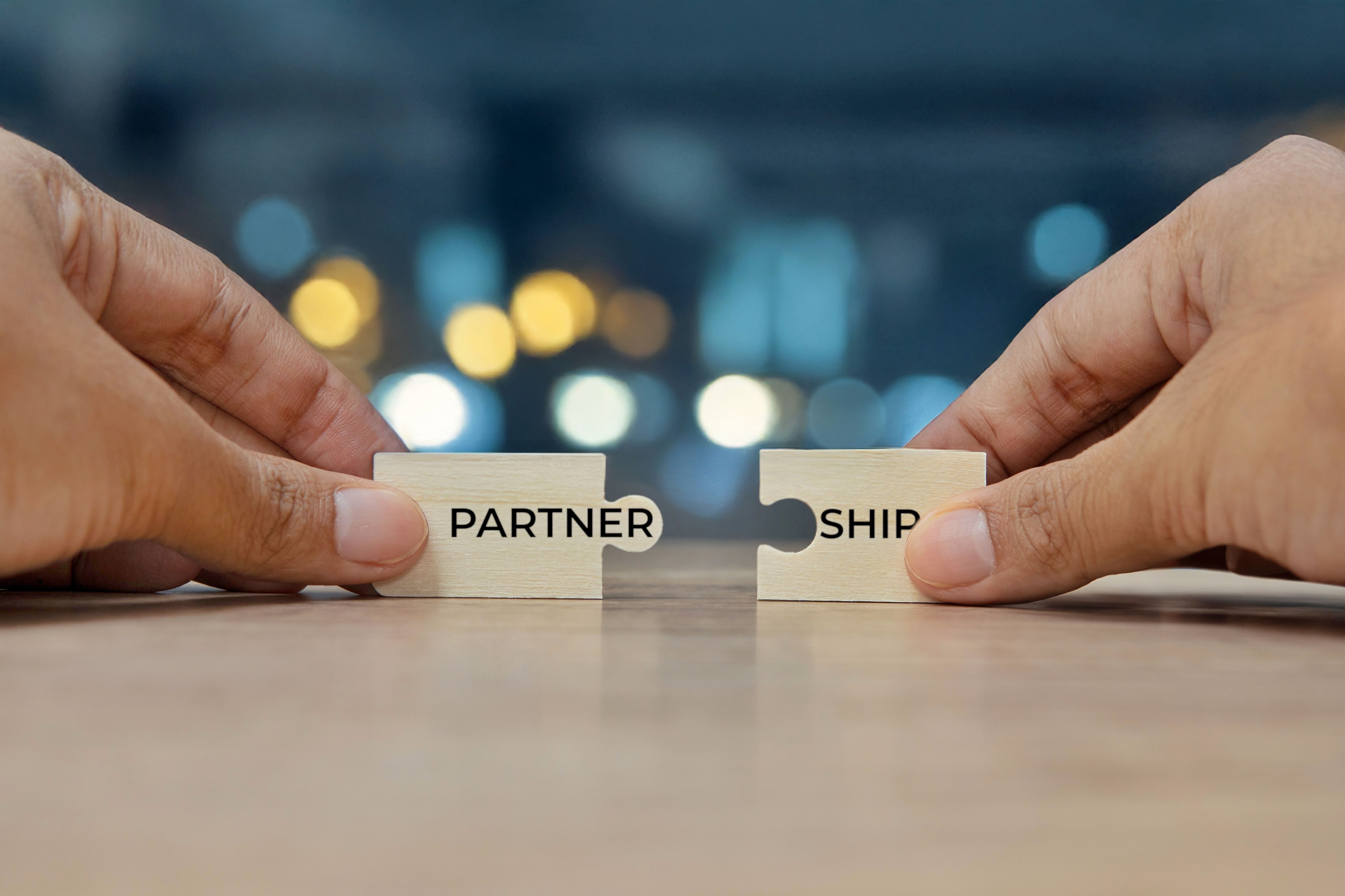 business partnership