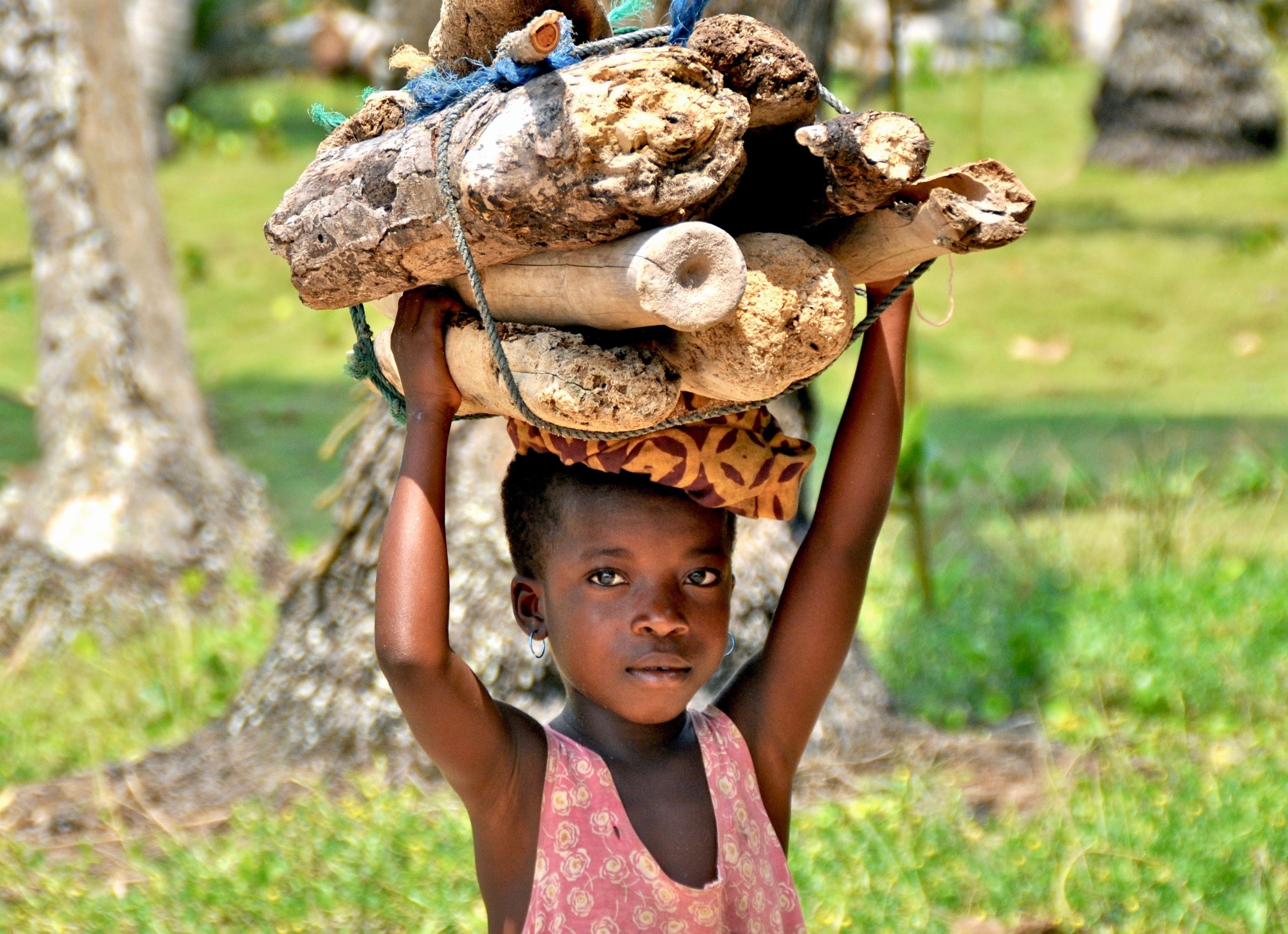 costruzione giardino