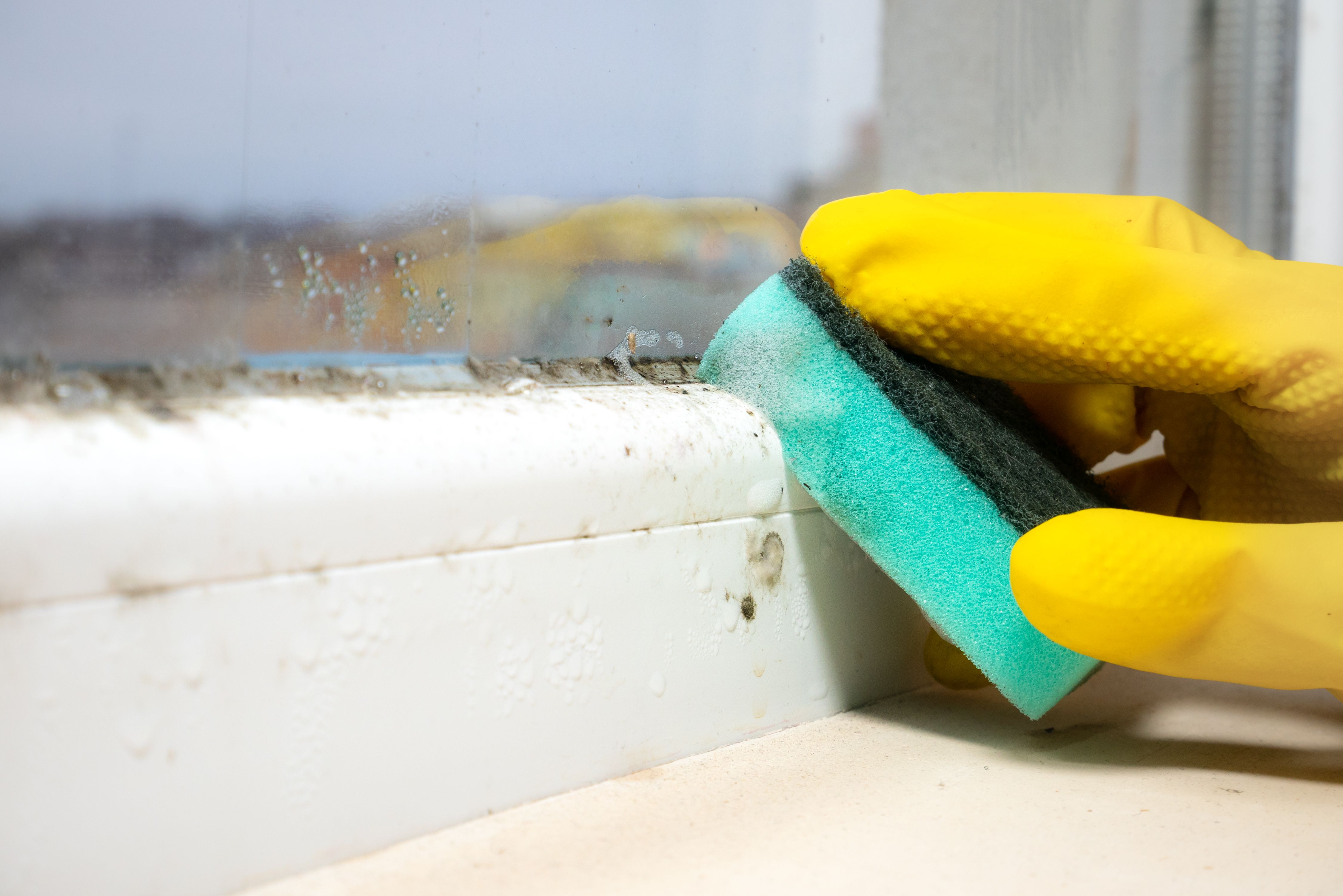 cleaning mold