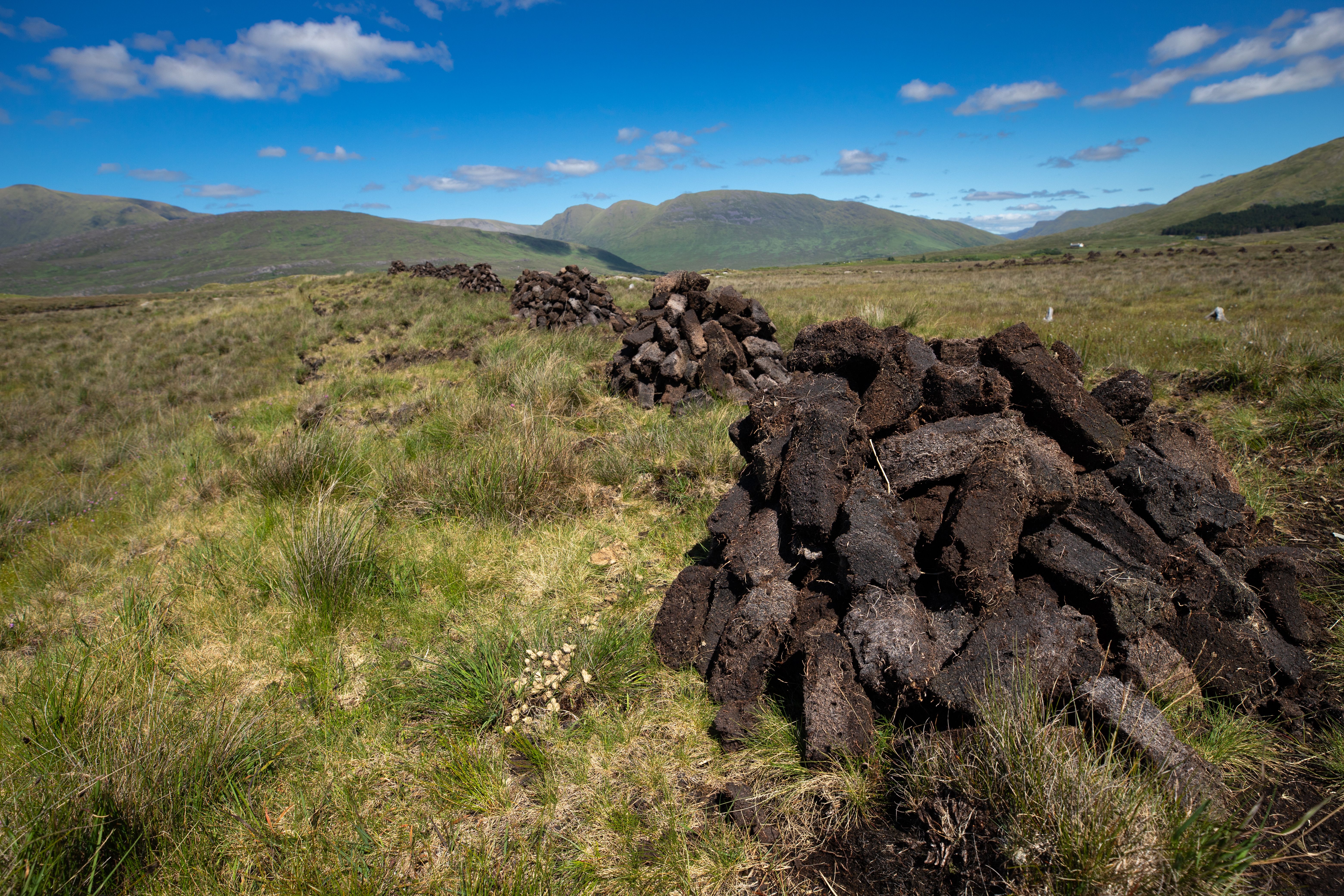 view of a peat bog in Ireland Peat bricks are stacked in a peat field