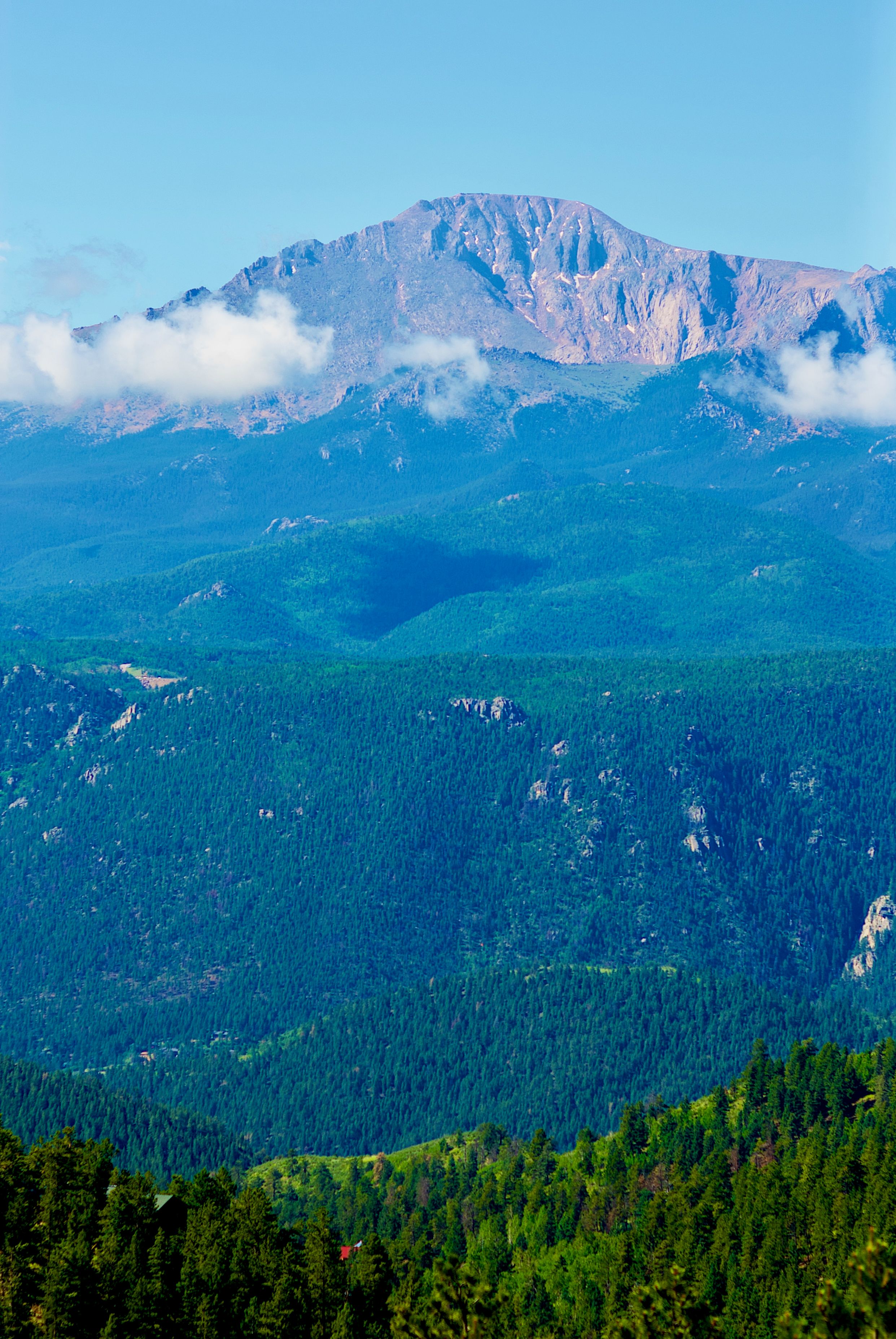 woodland park rooftops
