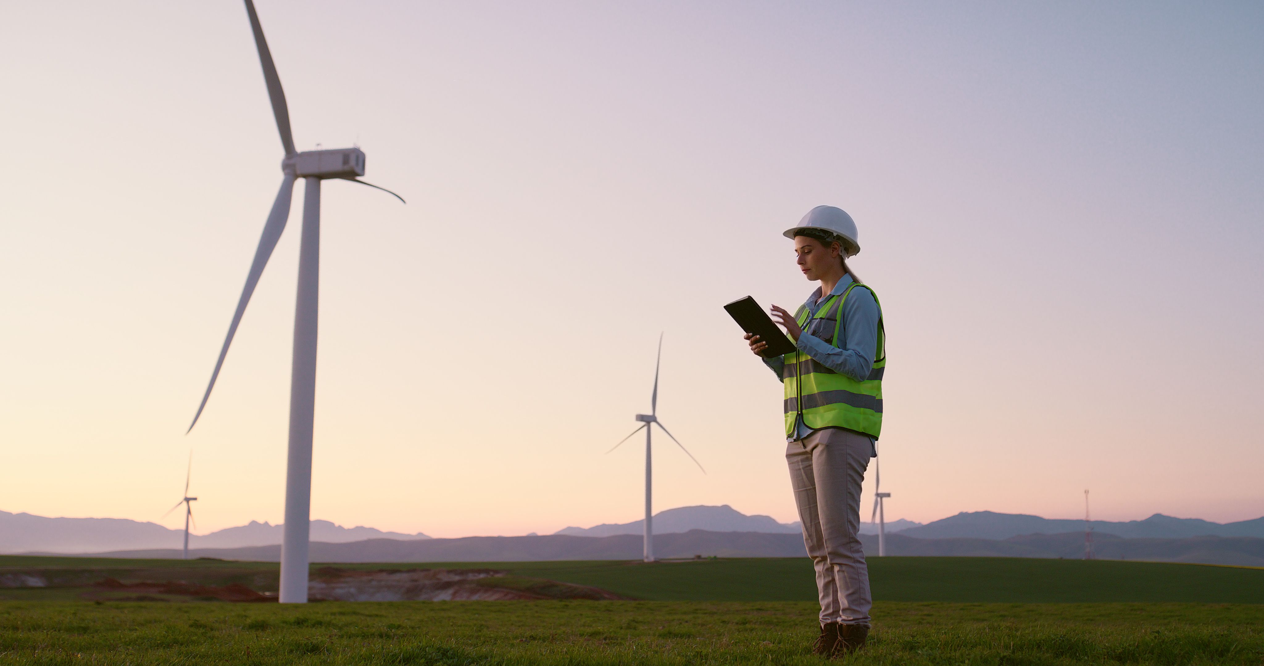 sustainable project management