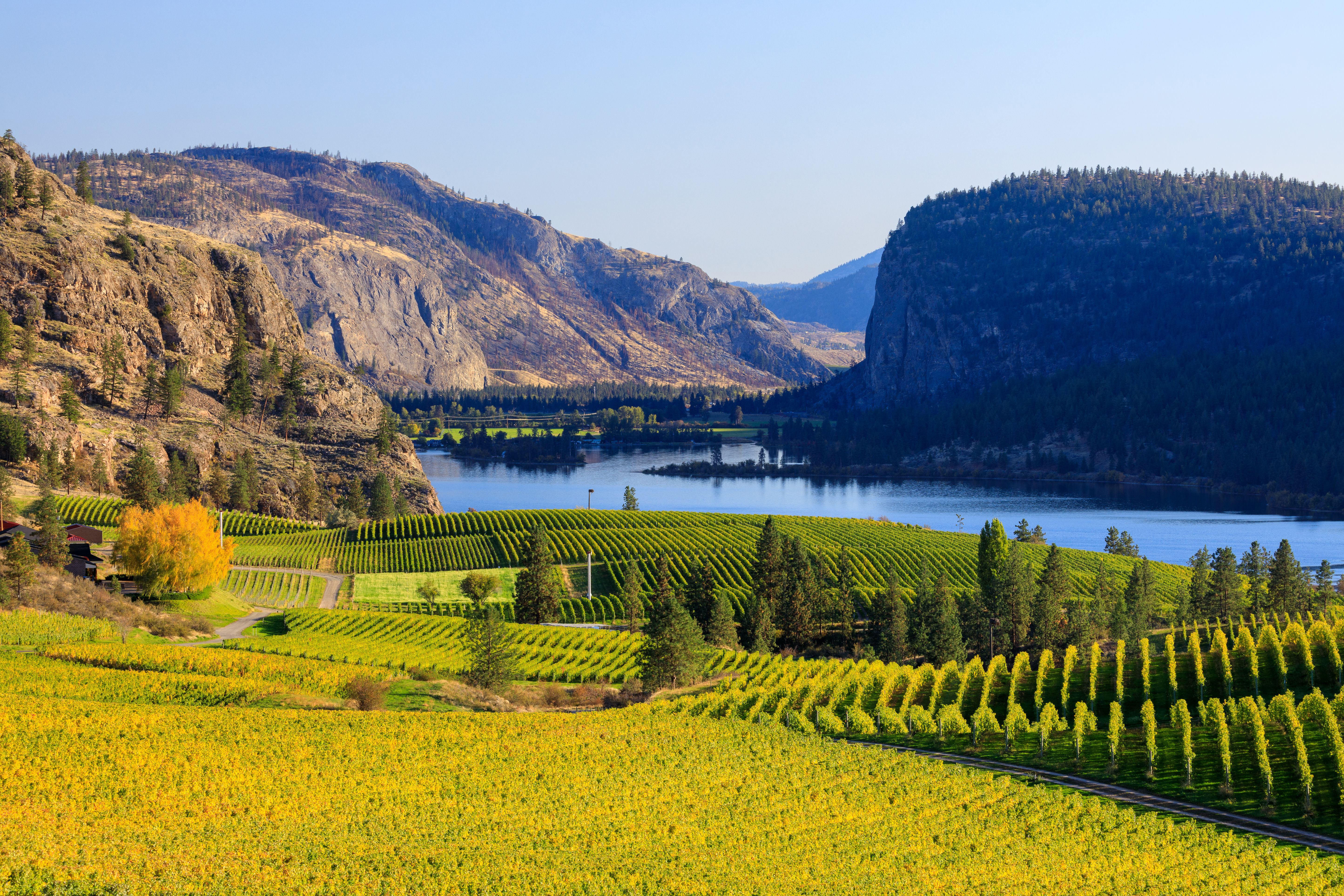 okanagan environment