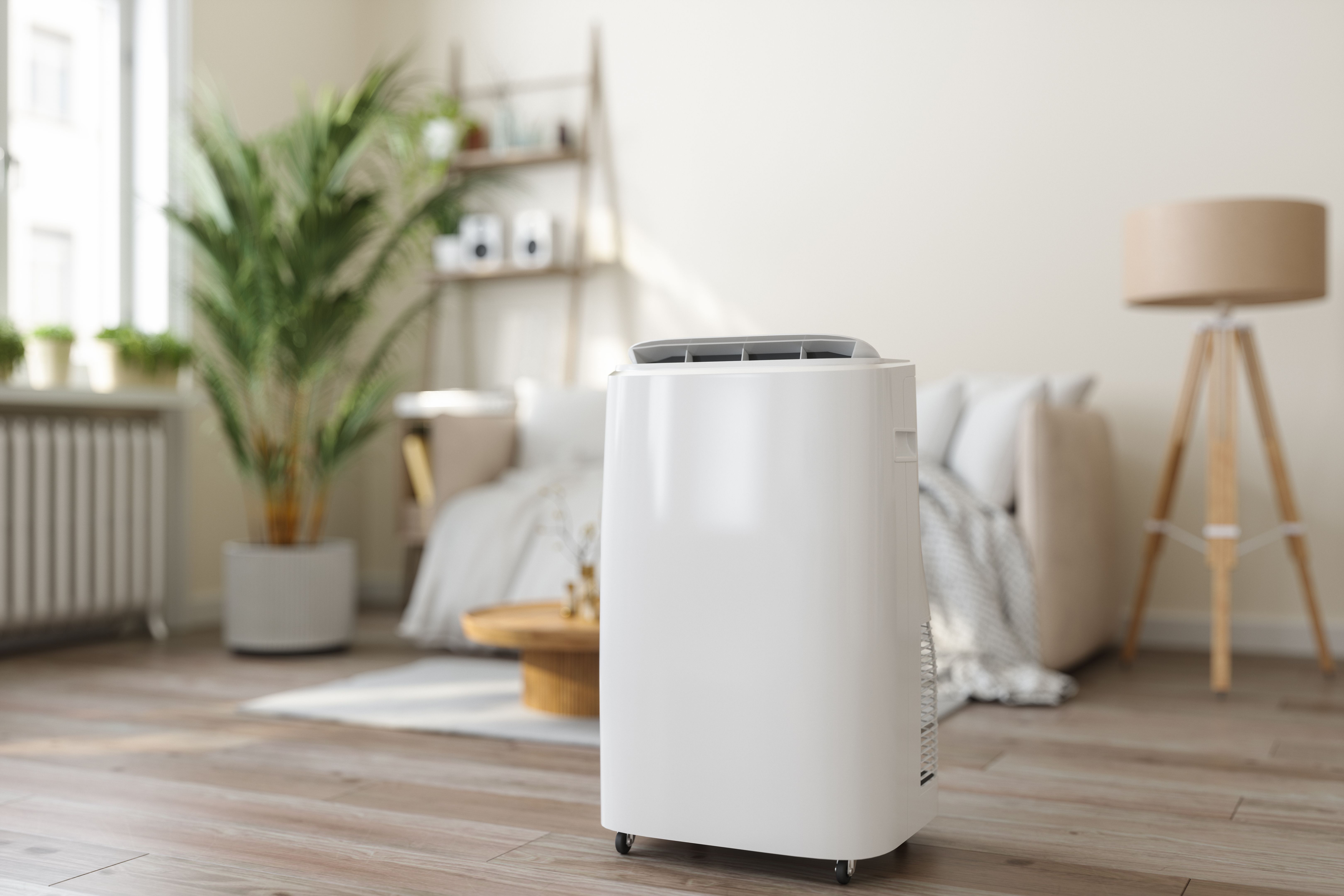 dehumidifier in home