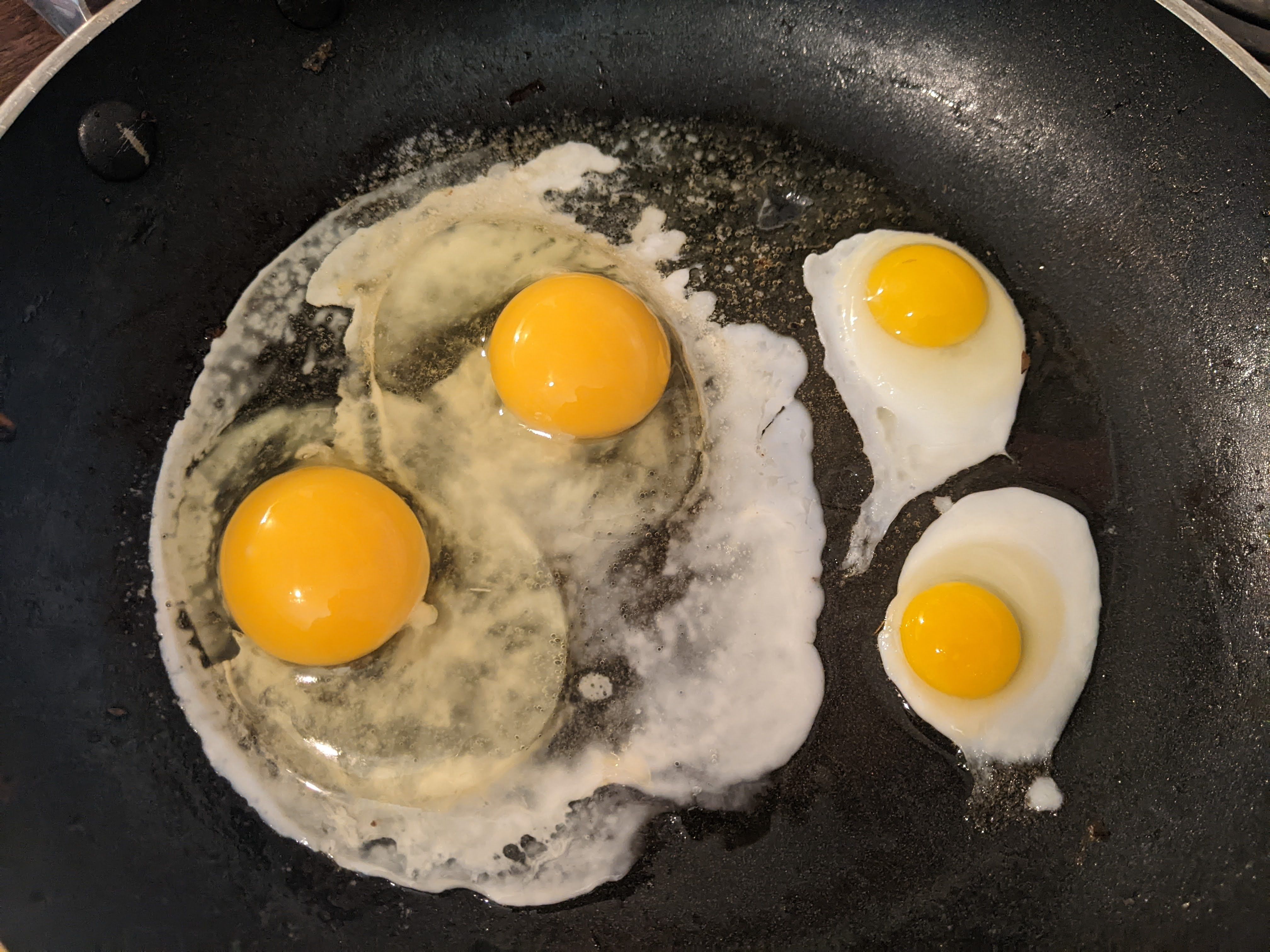 quail egg kitchen