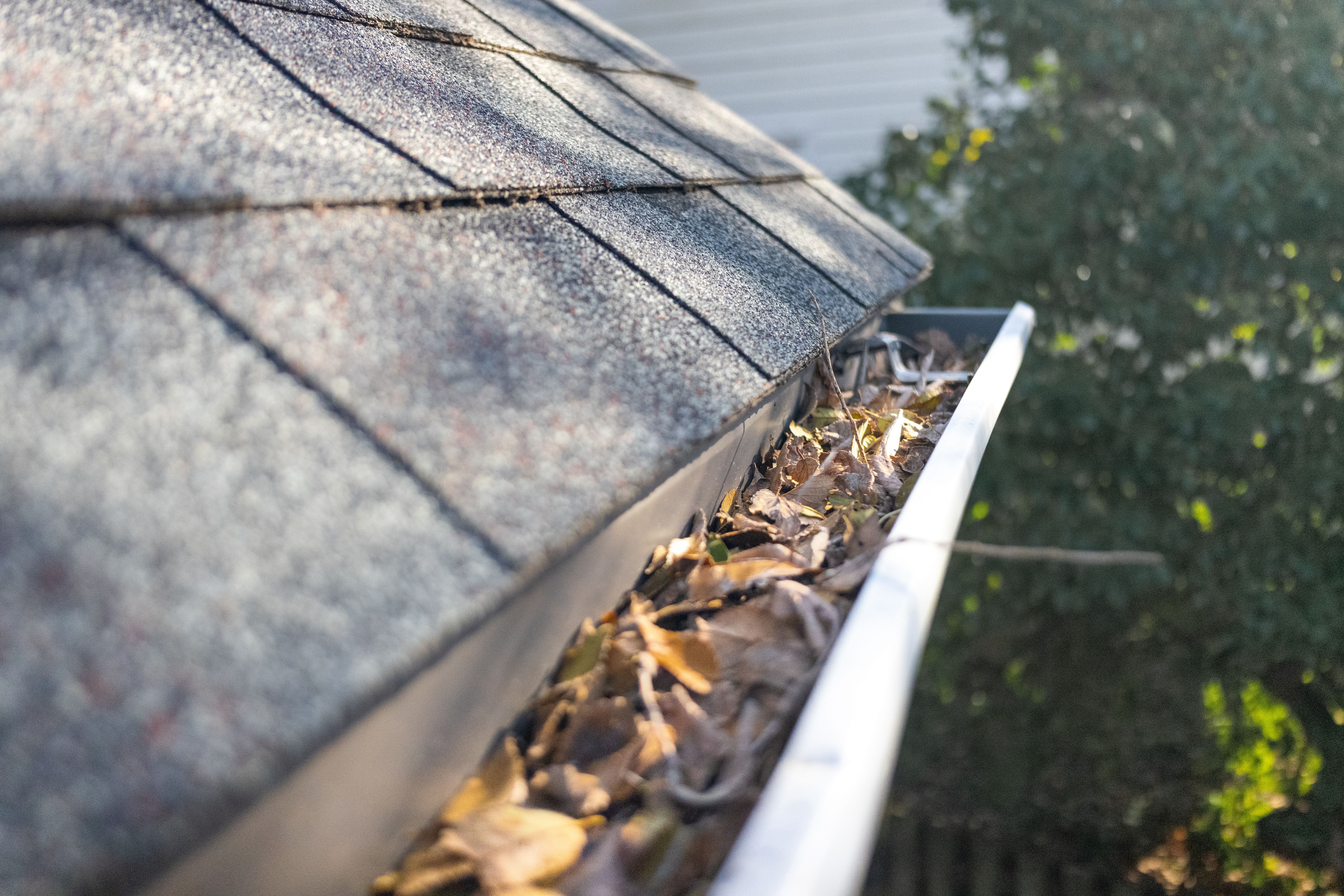 clogged gutters