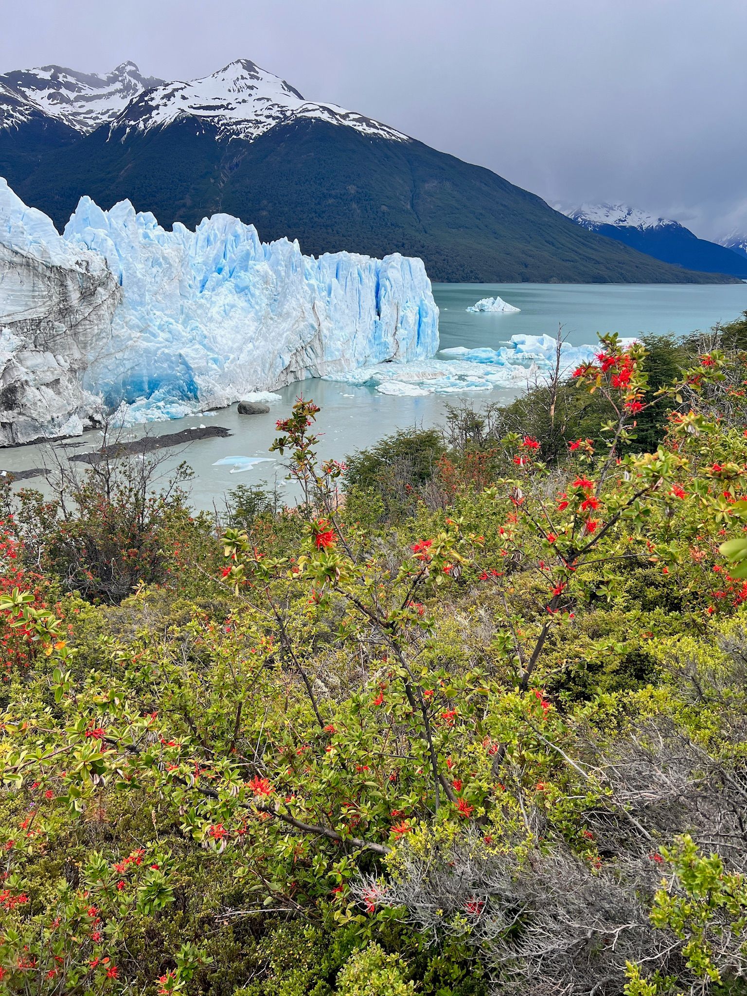 perito moreno glacier