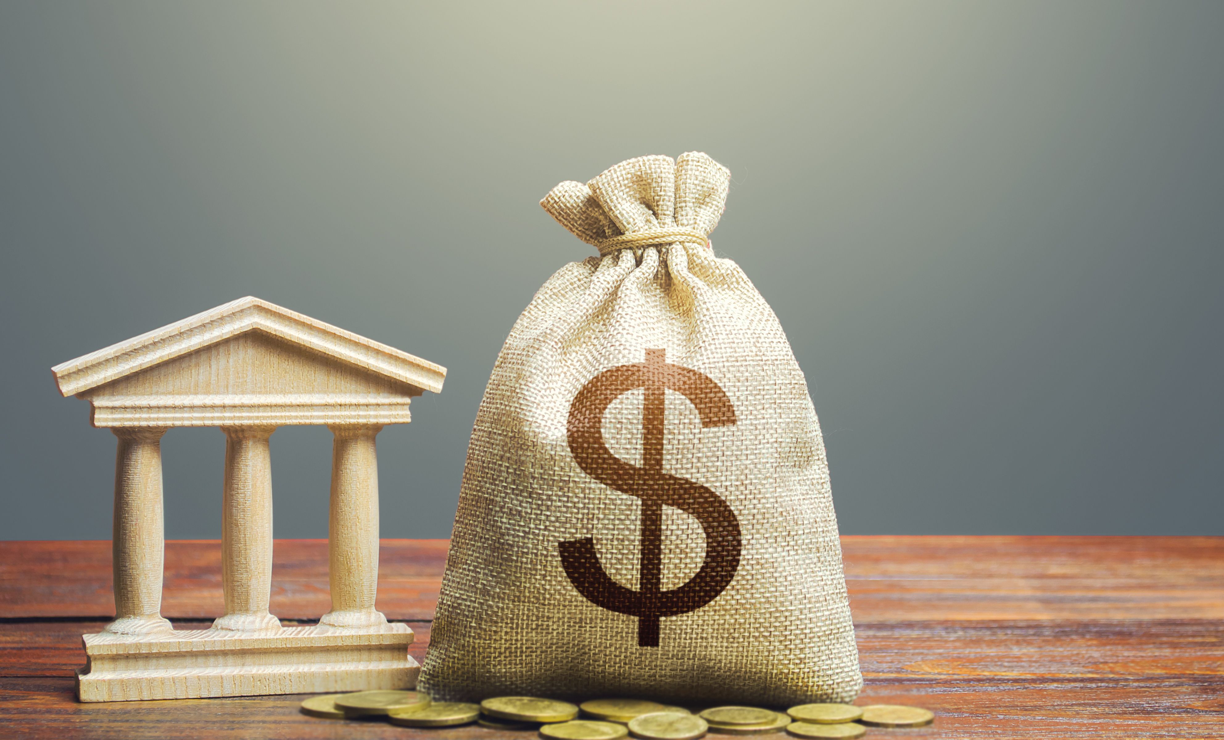 government loans