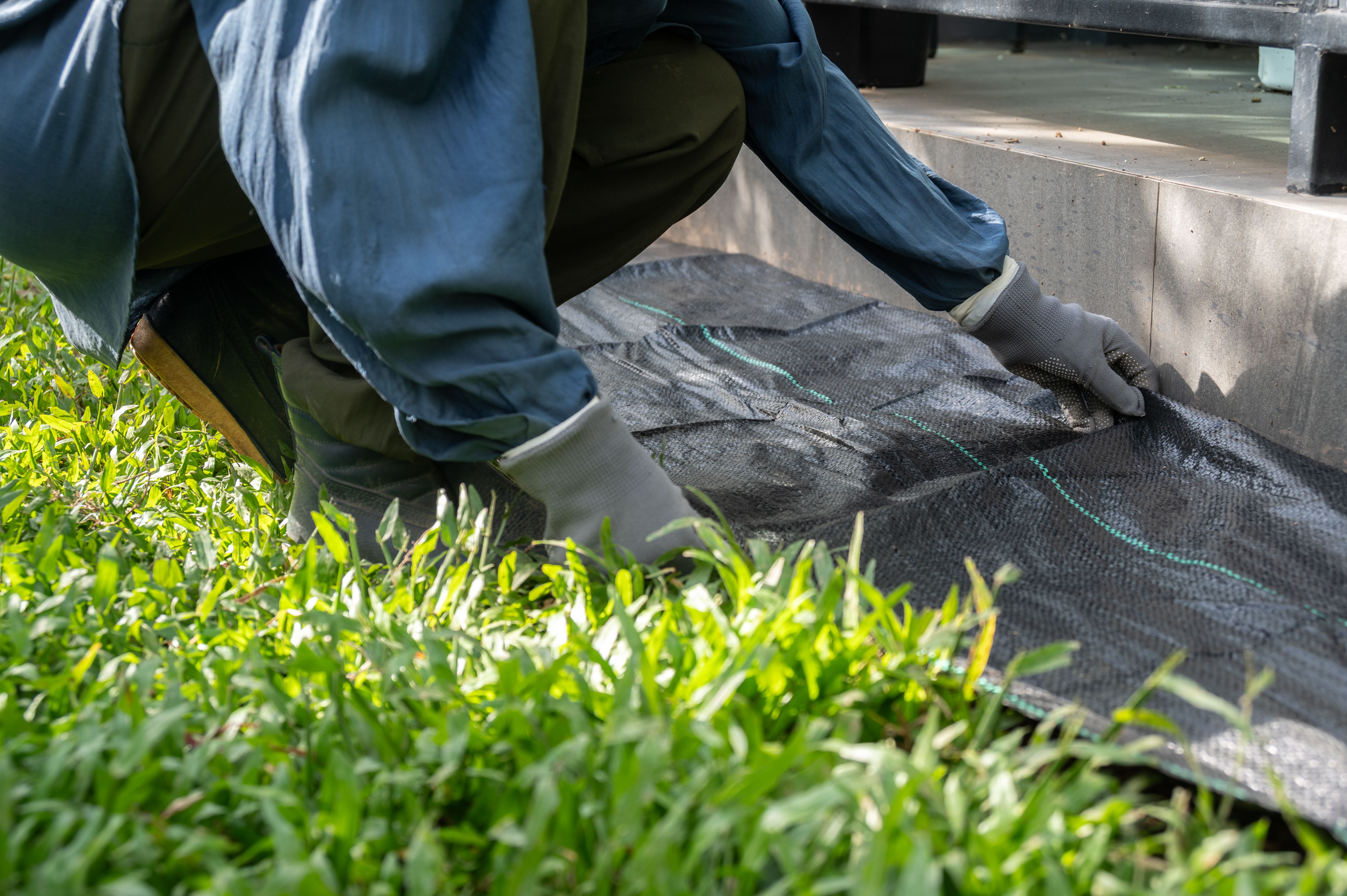 weed control