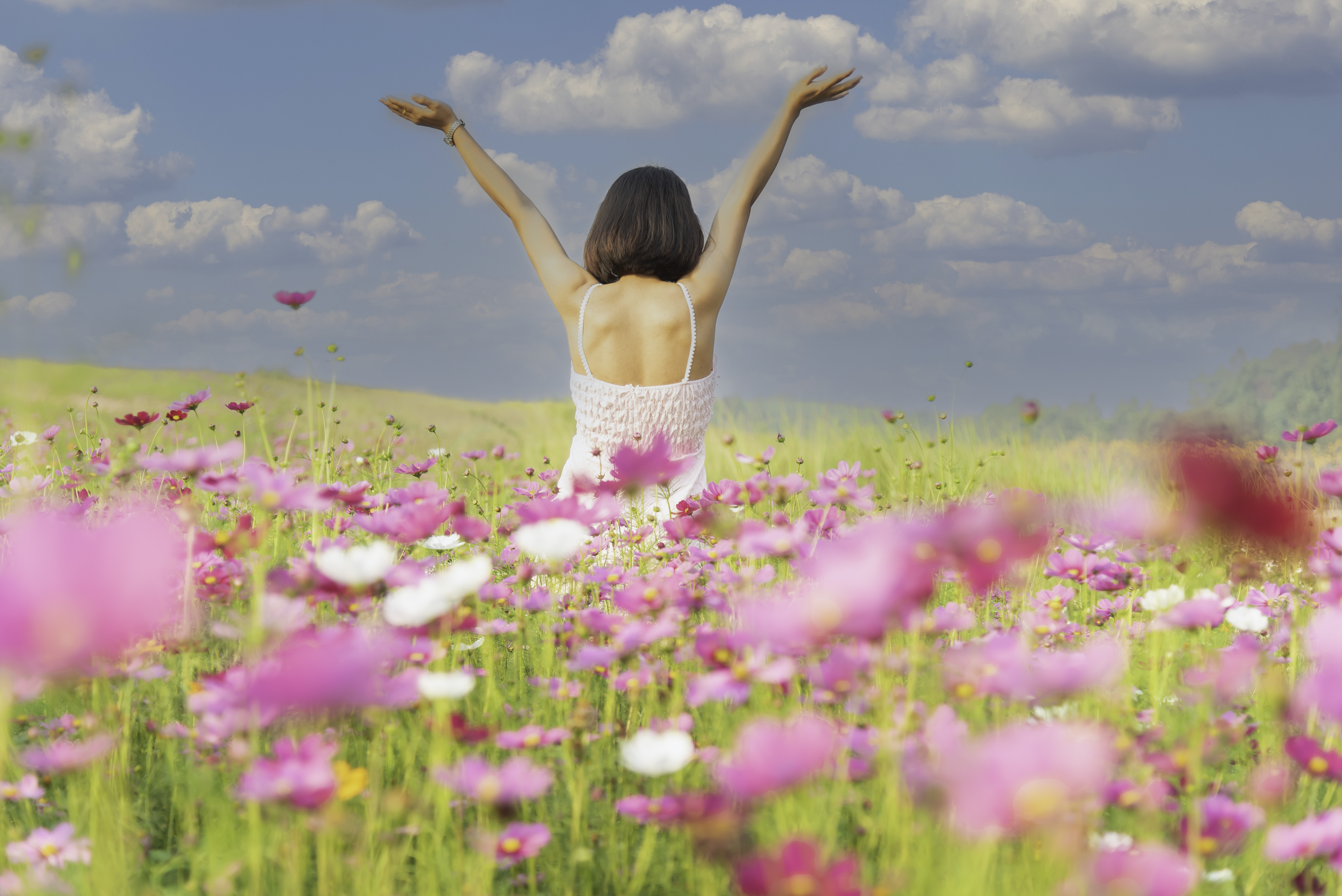 Happy asian woman lifestyle in flower sunrise. Active Outdoor Relax and enjoy in Nature. Lifestyle Concept Happy asian woman lifestyle in flower sunrise. Active Outdoor Relax and enjoy in Nature. Lifestyle Concept