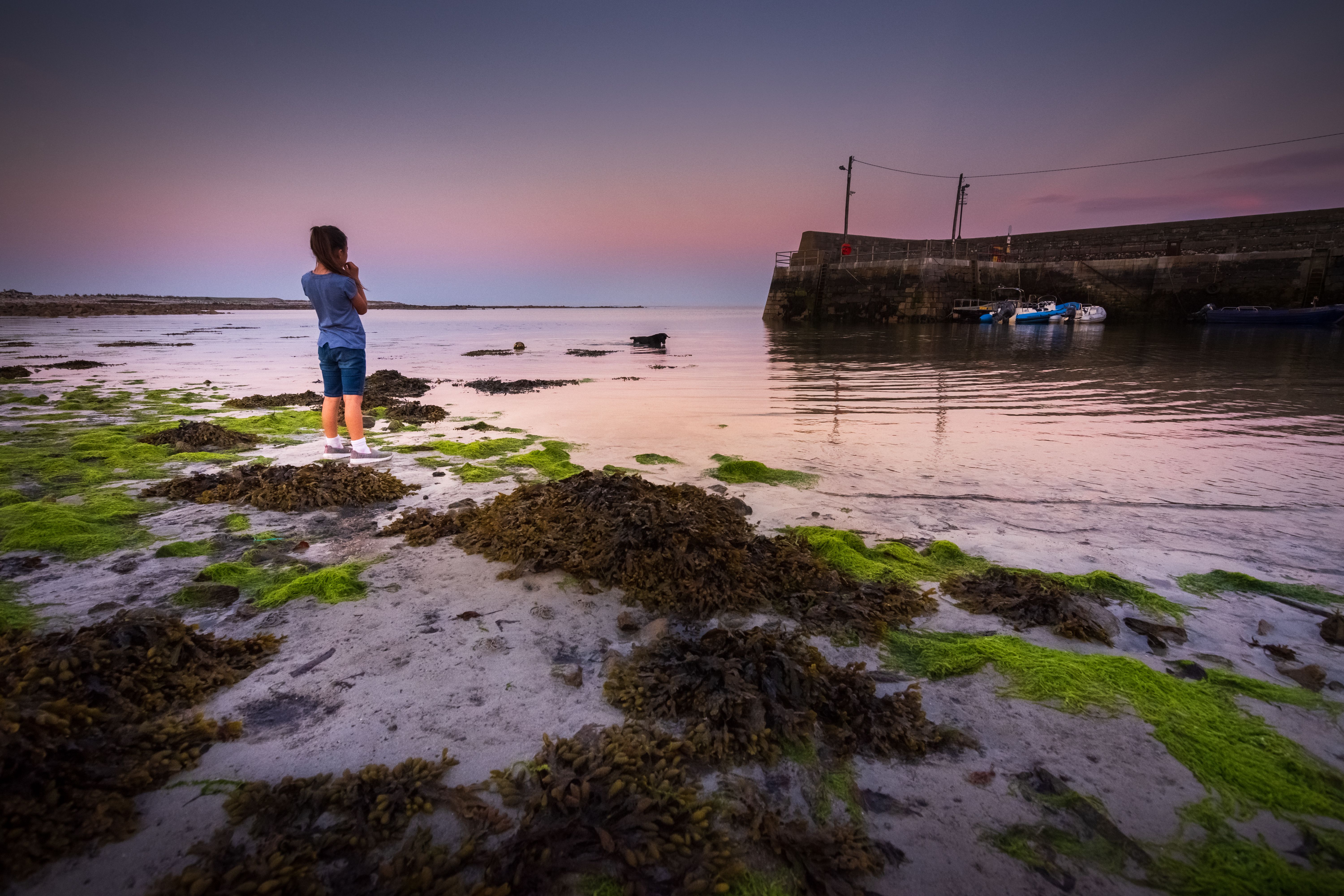 Young girl calling her dog on beach of the small town of Barna, Ireland at dusk