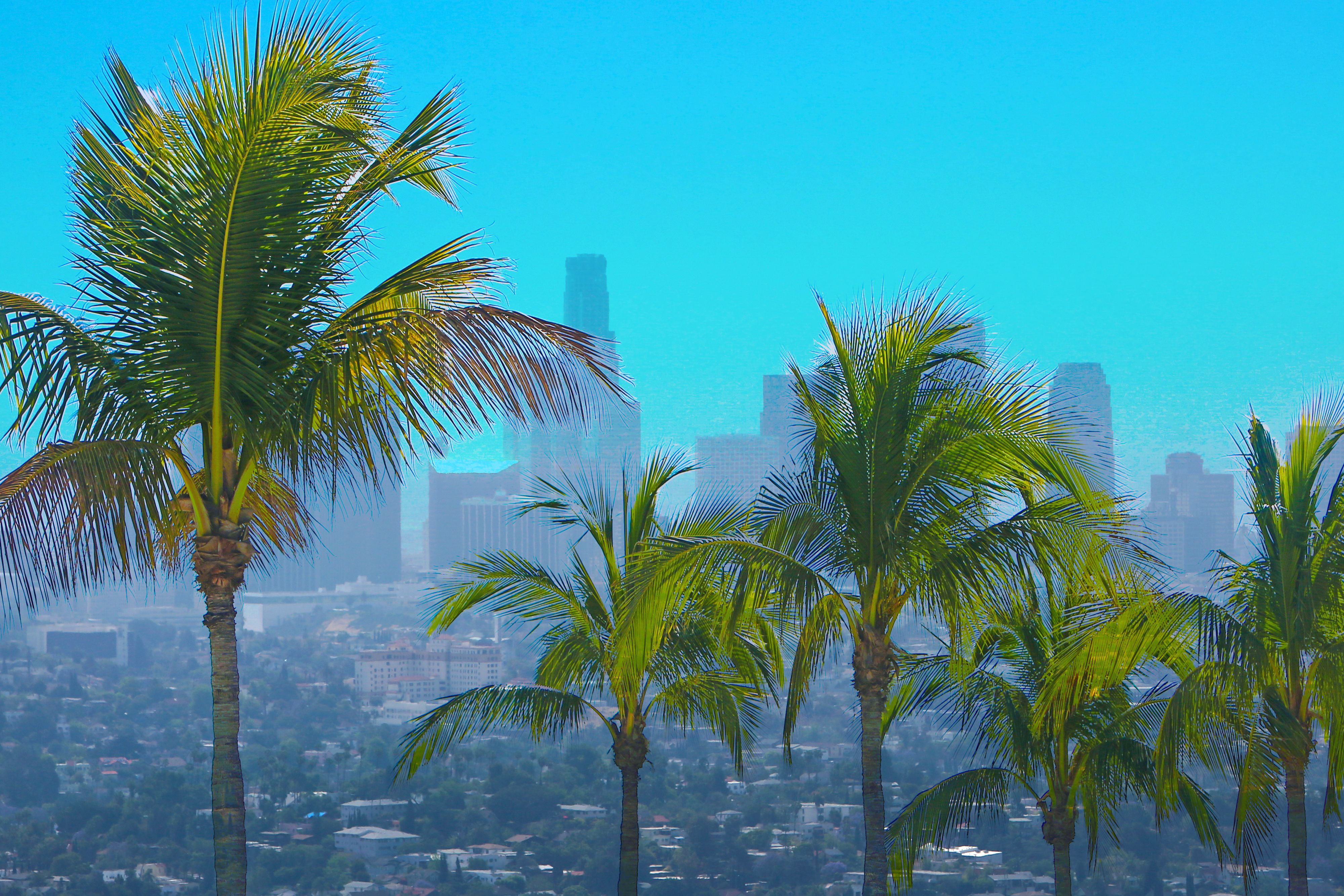 san fernando valley business