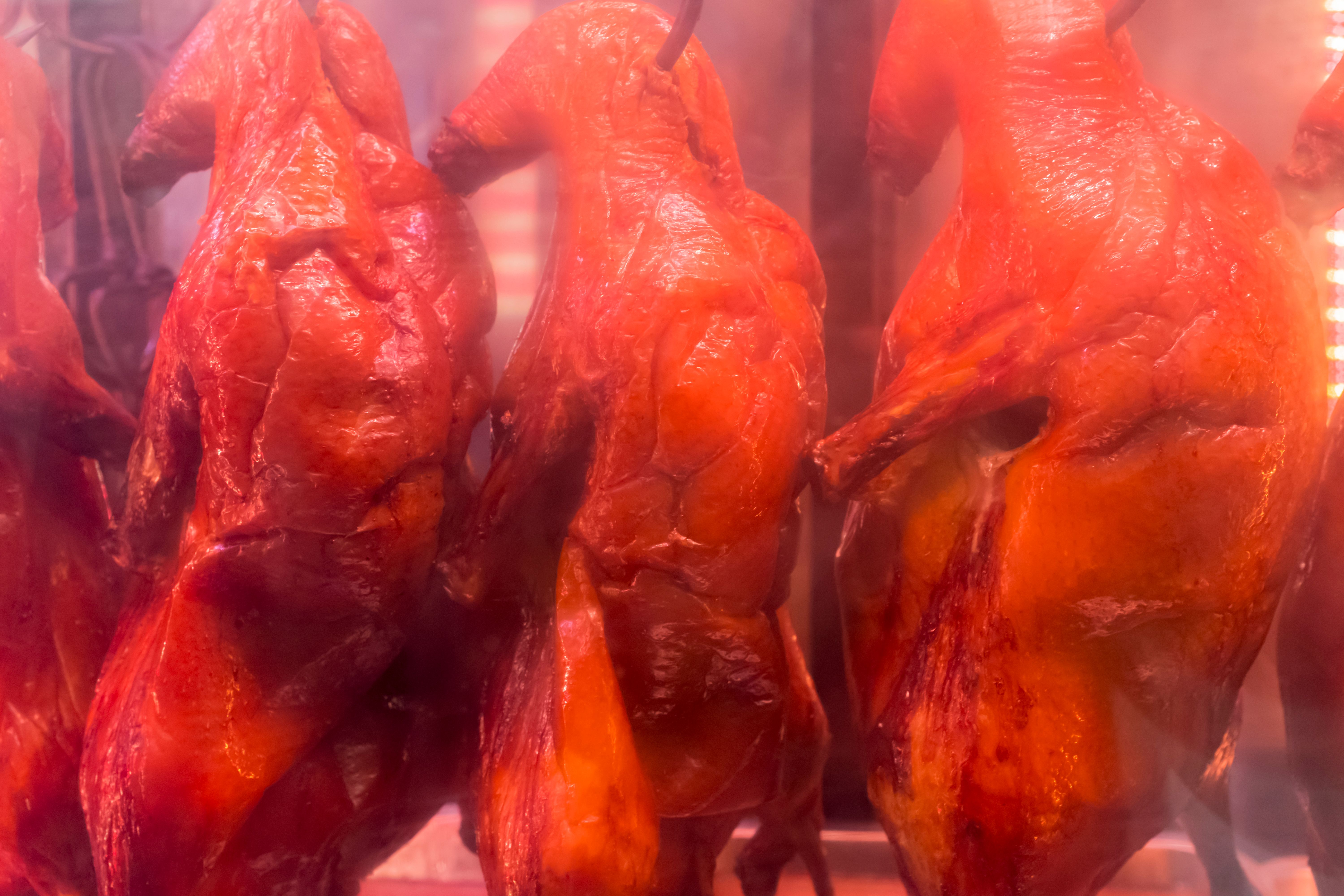 roast duck furnace