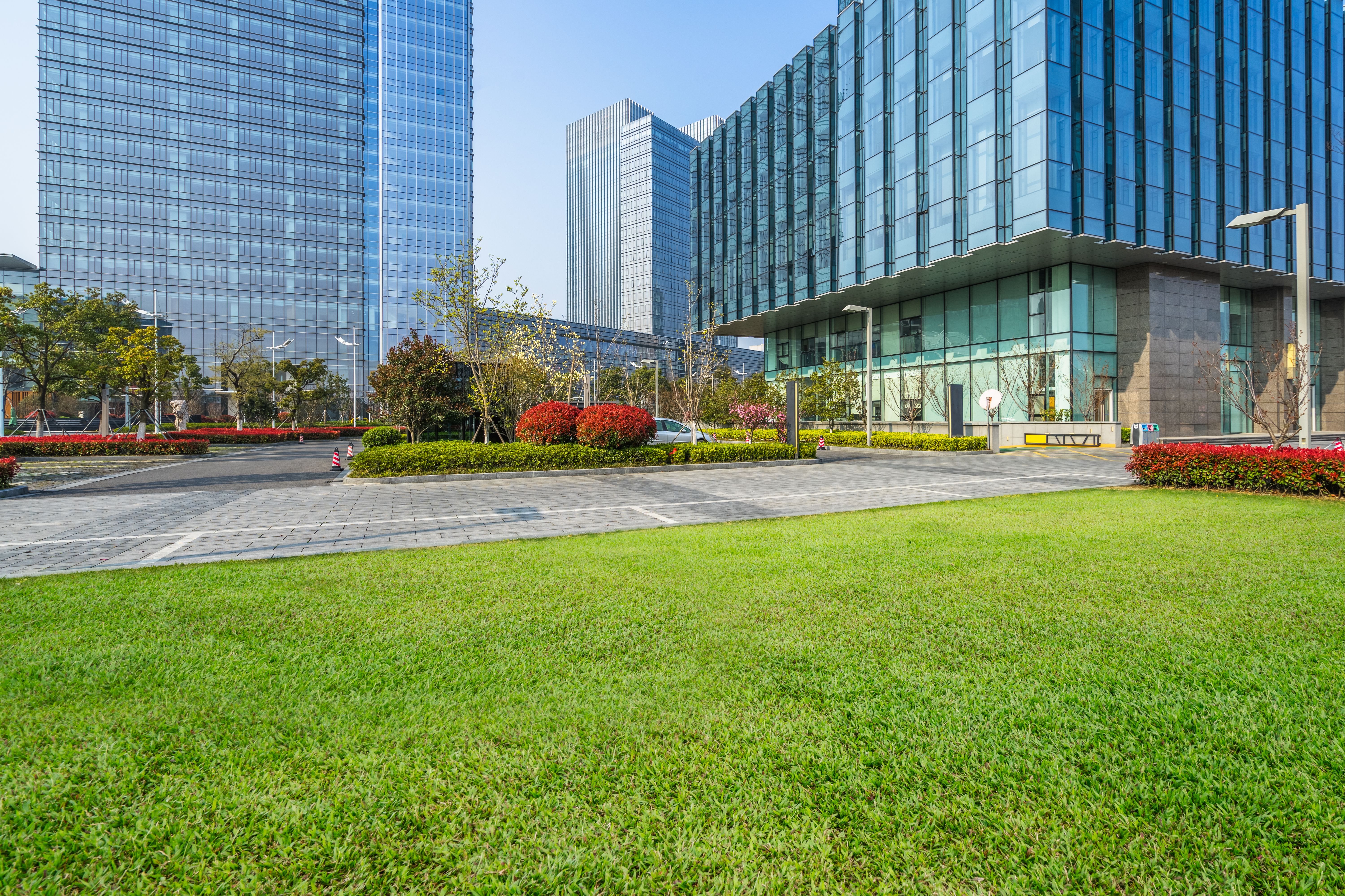commercial lawn
