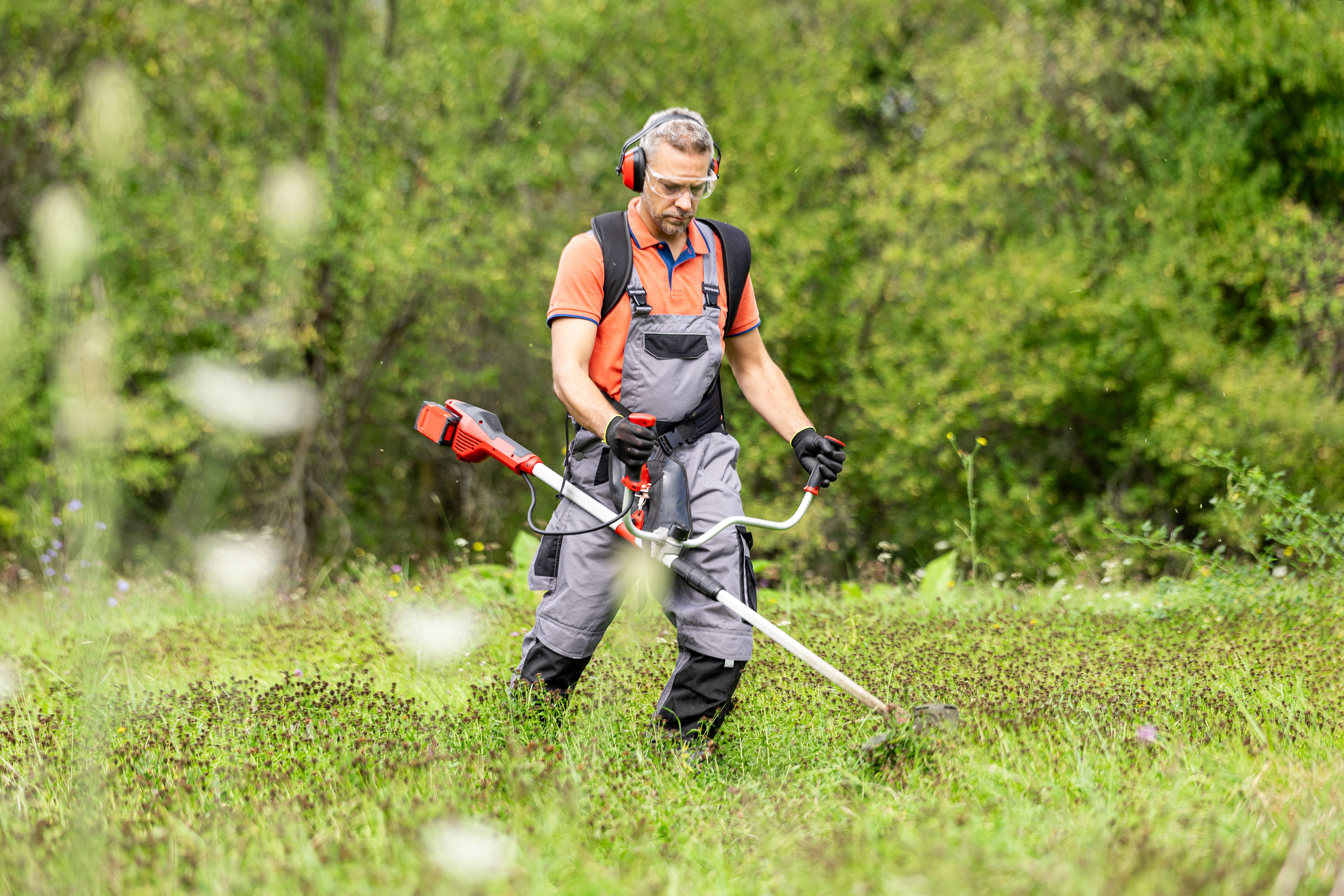 person mowing lawn