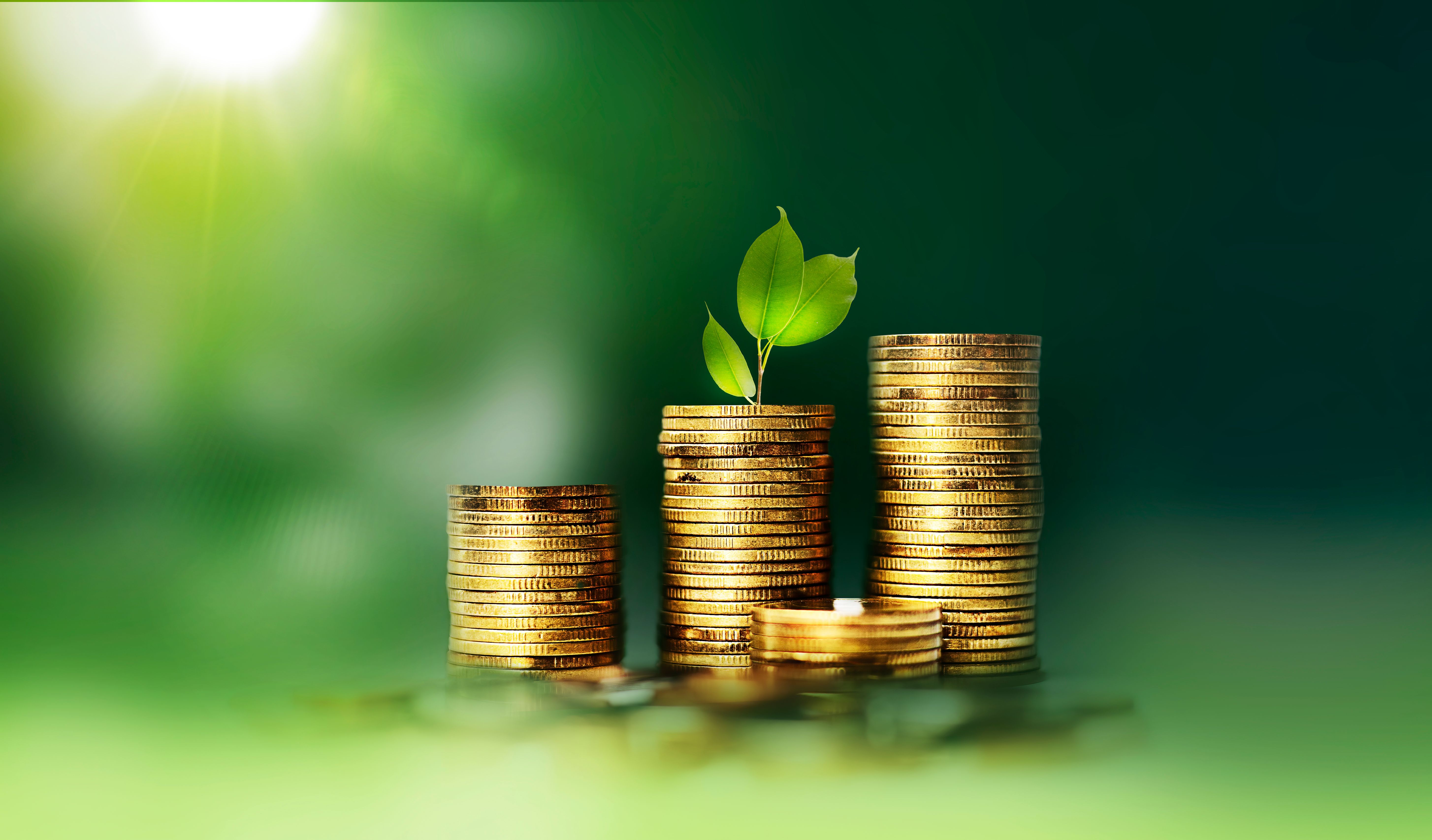 carbon financing agriculture