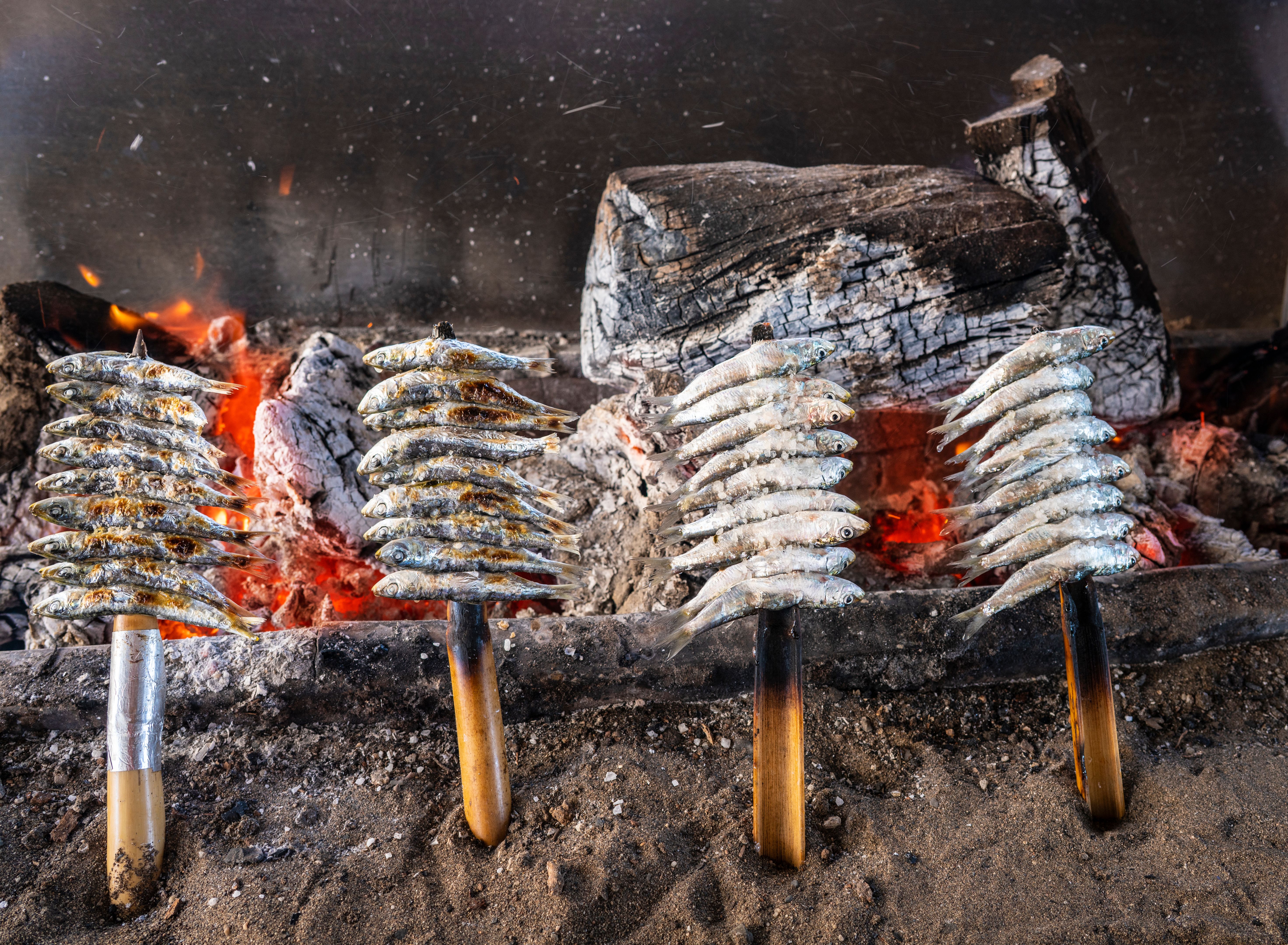 Espeto typical grilled sardines skewer from Costa del Sol of Ma