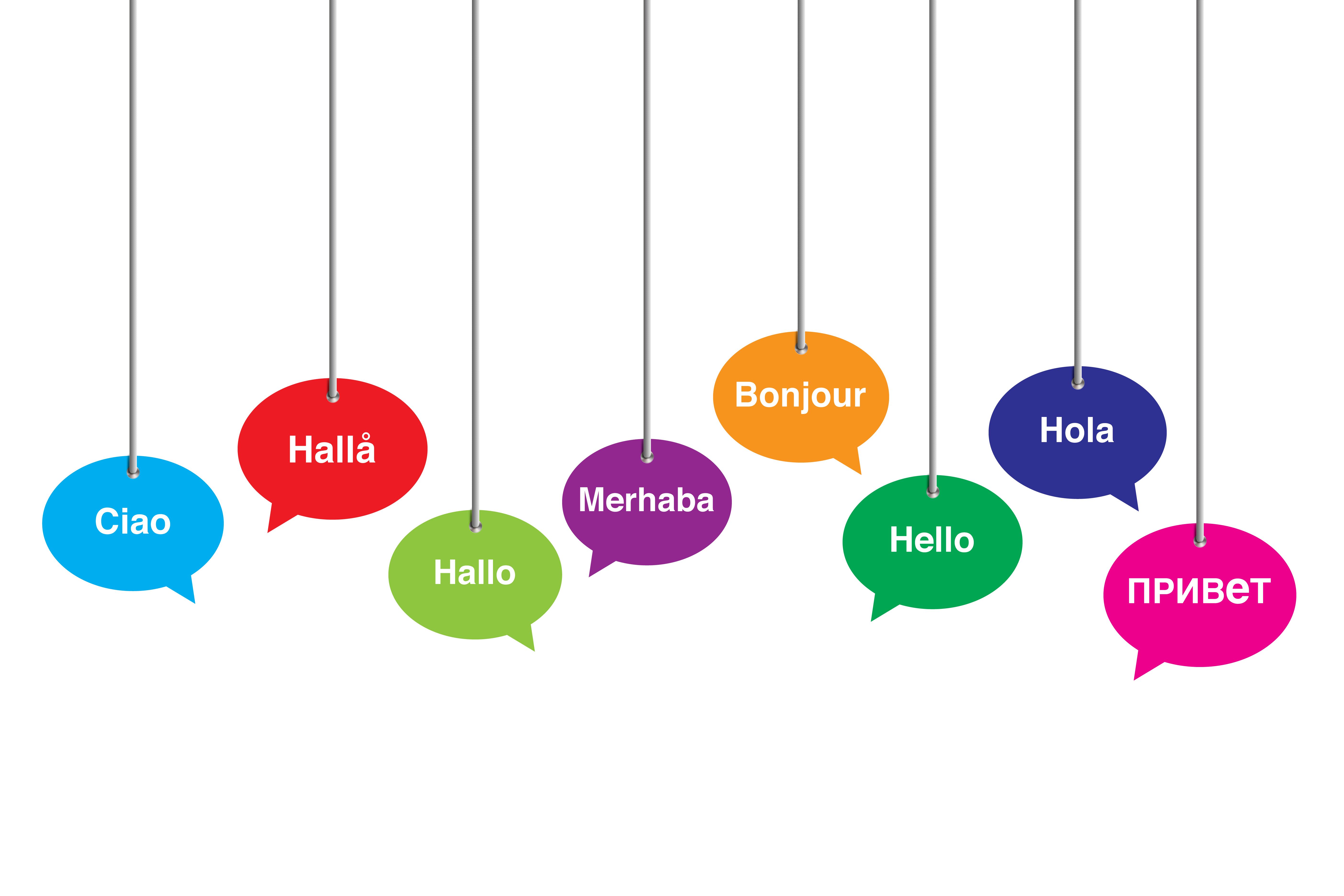 language translation cost