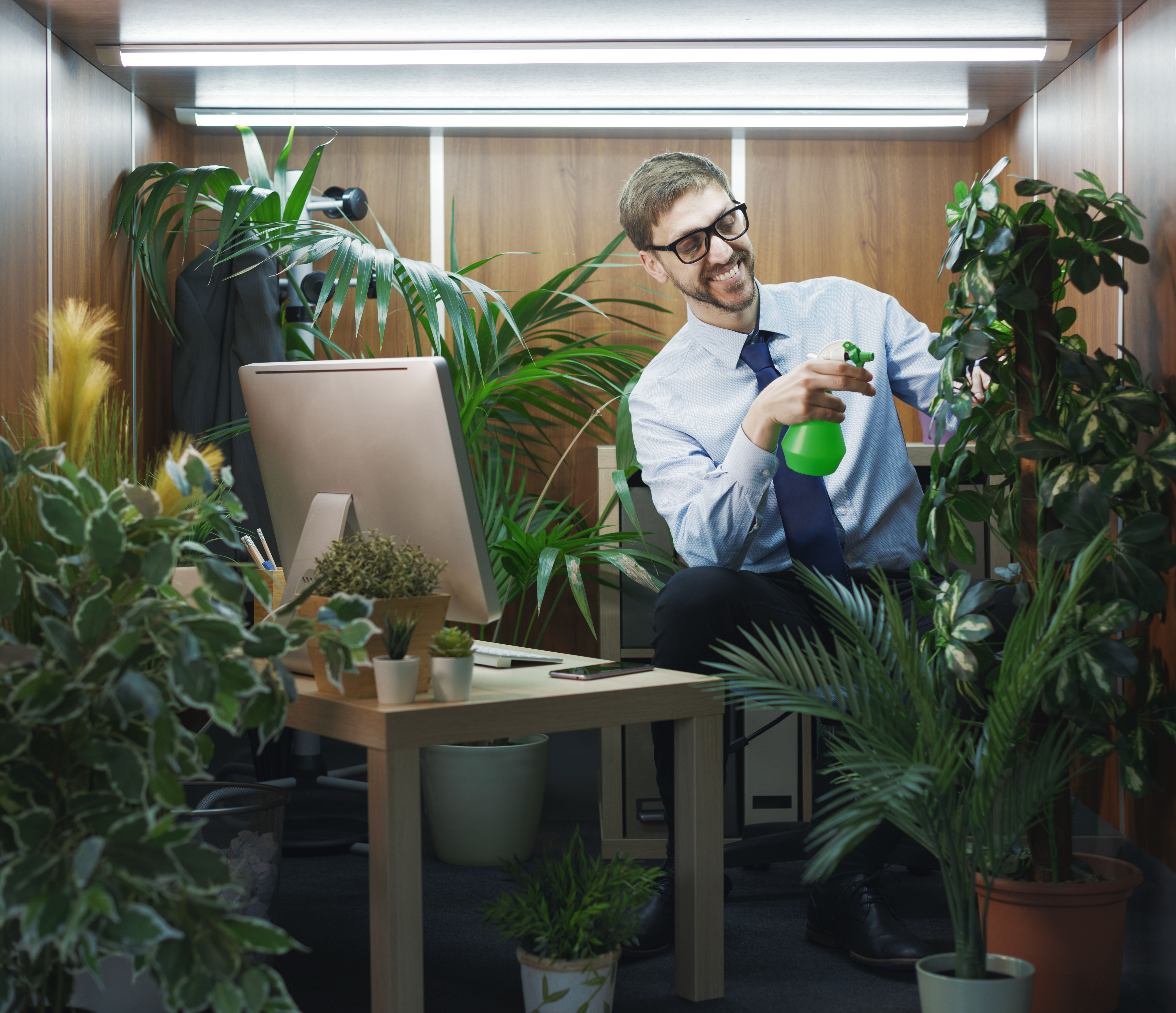 watering office plants
