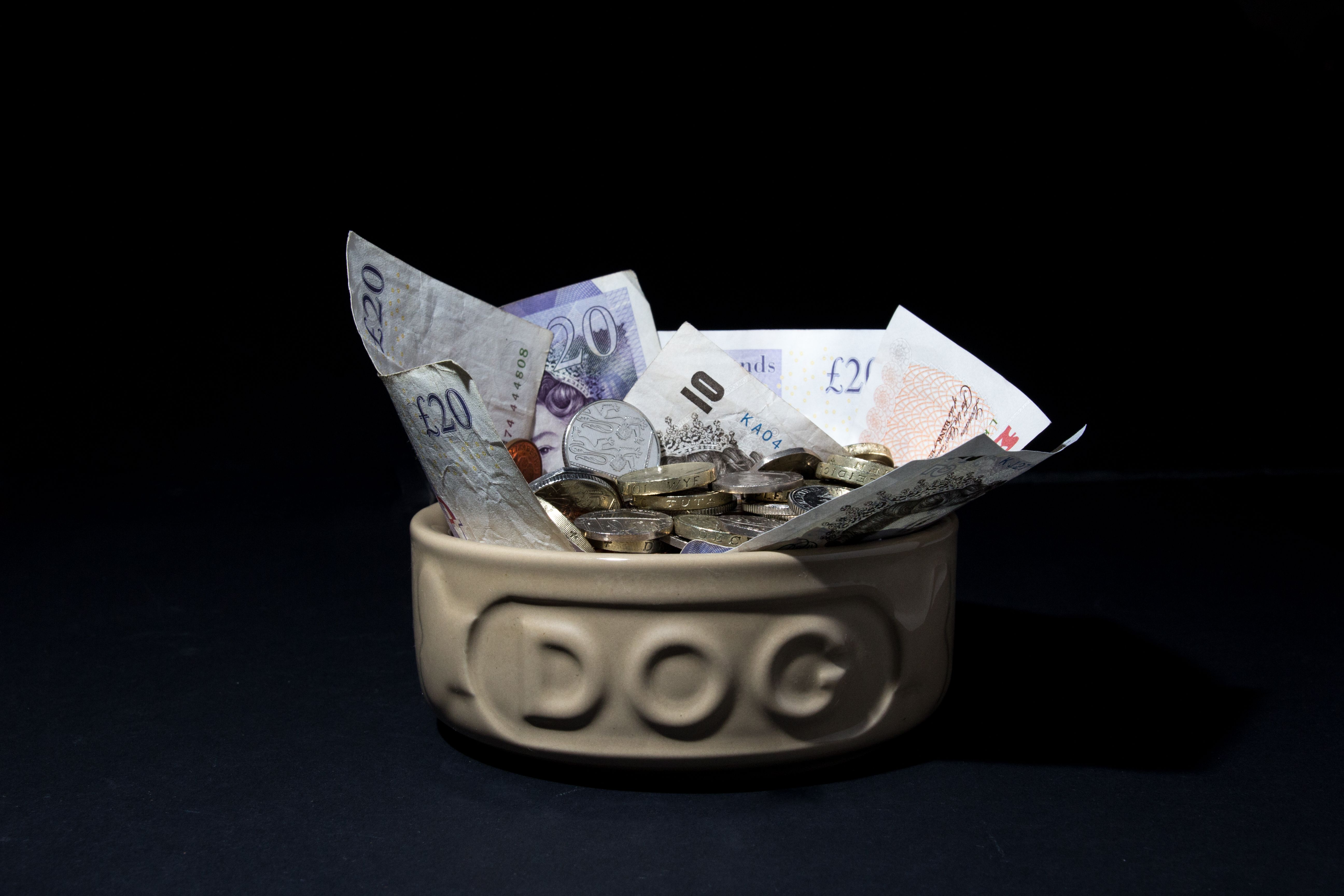 pet care budget