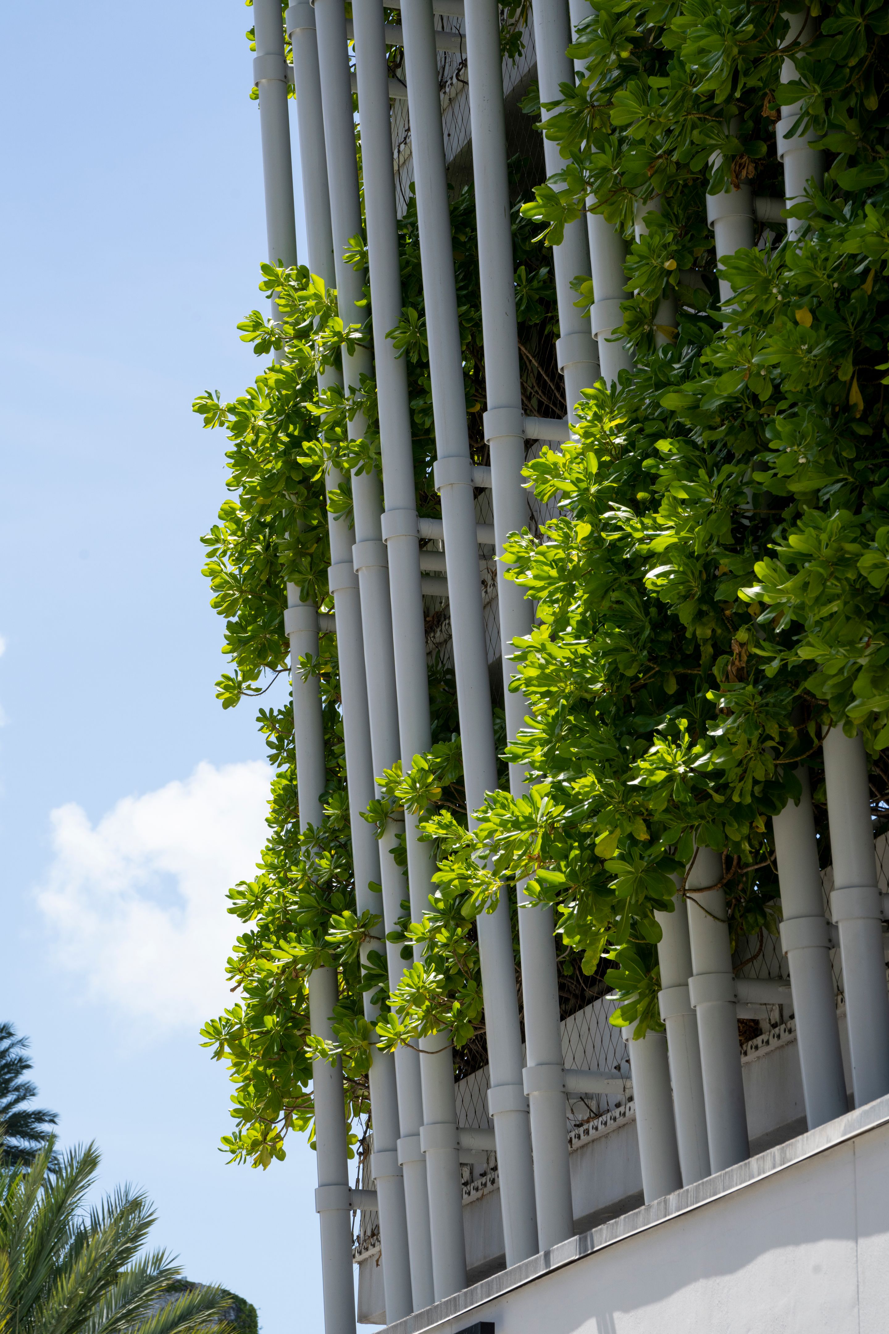 fort lauderdale innovation