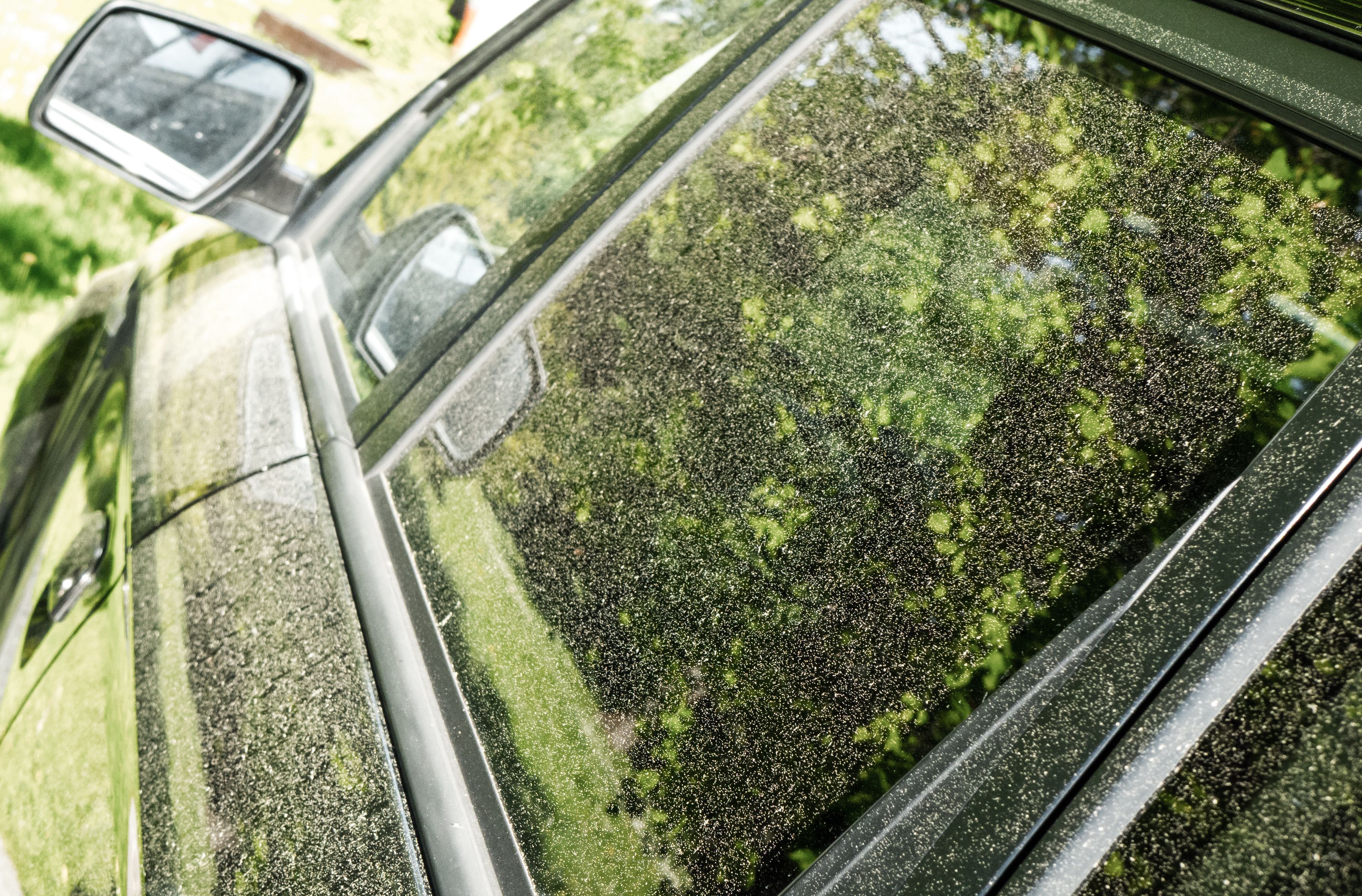 pollen on car