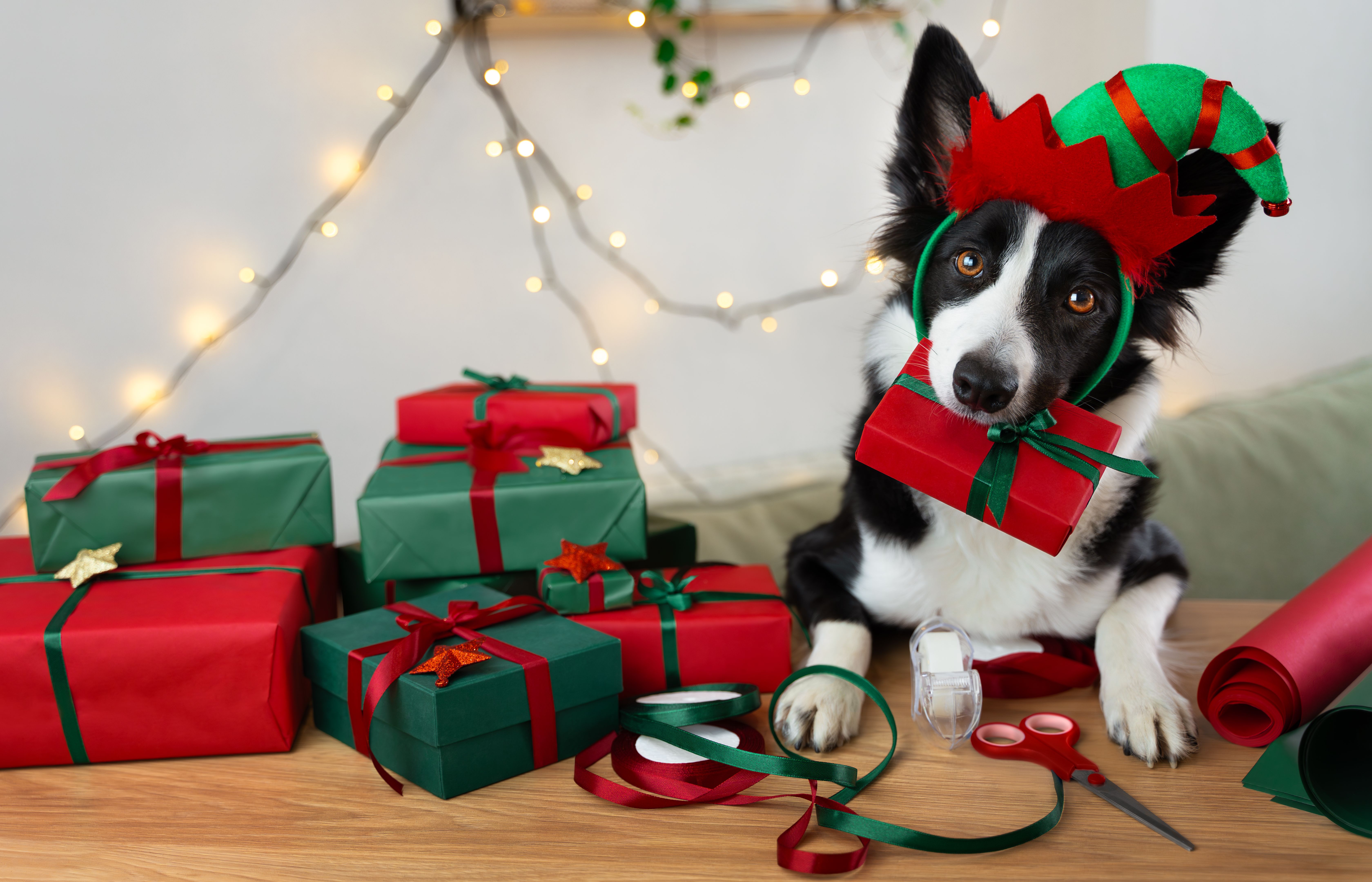 smart Christmas lights