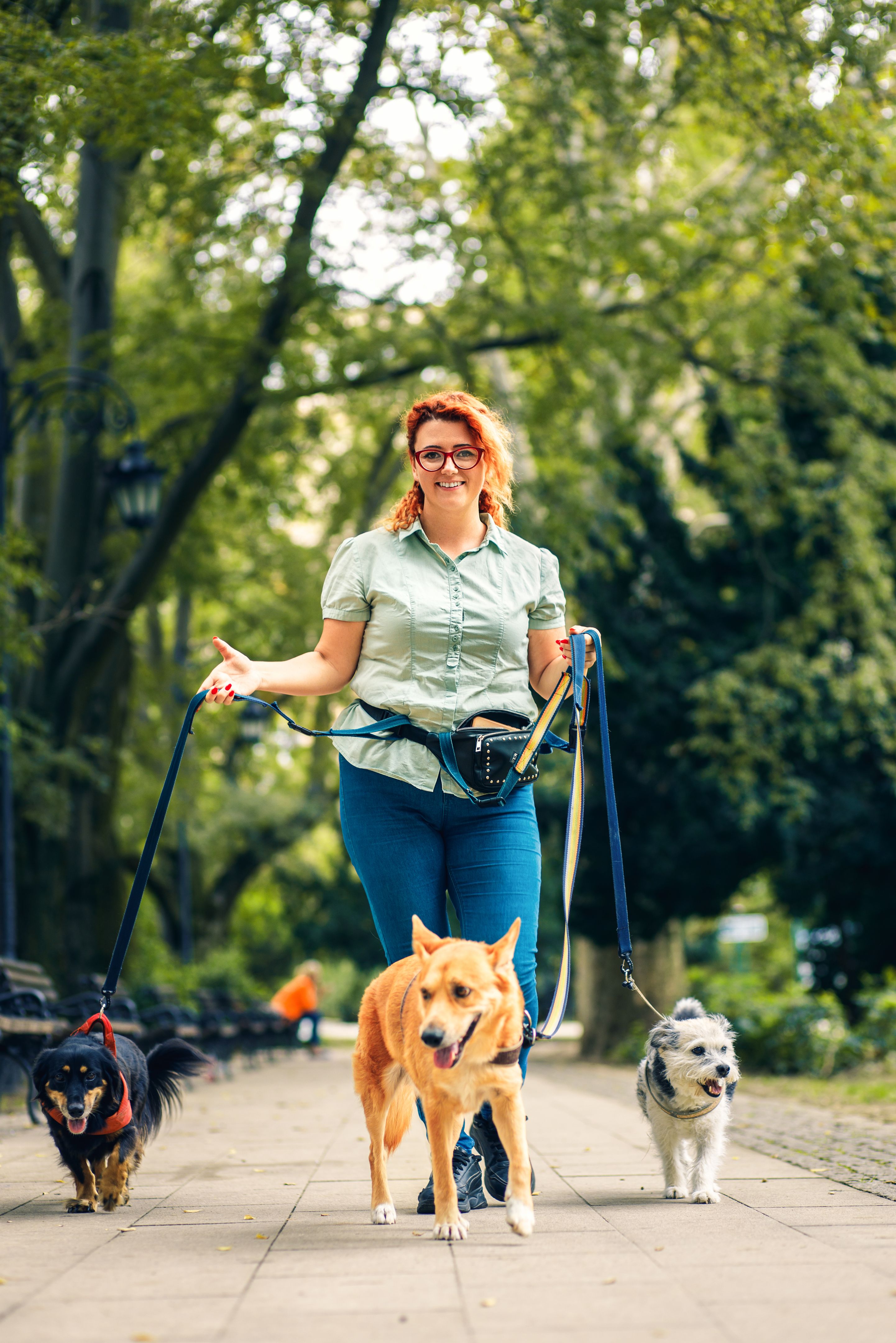 interview dog walker