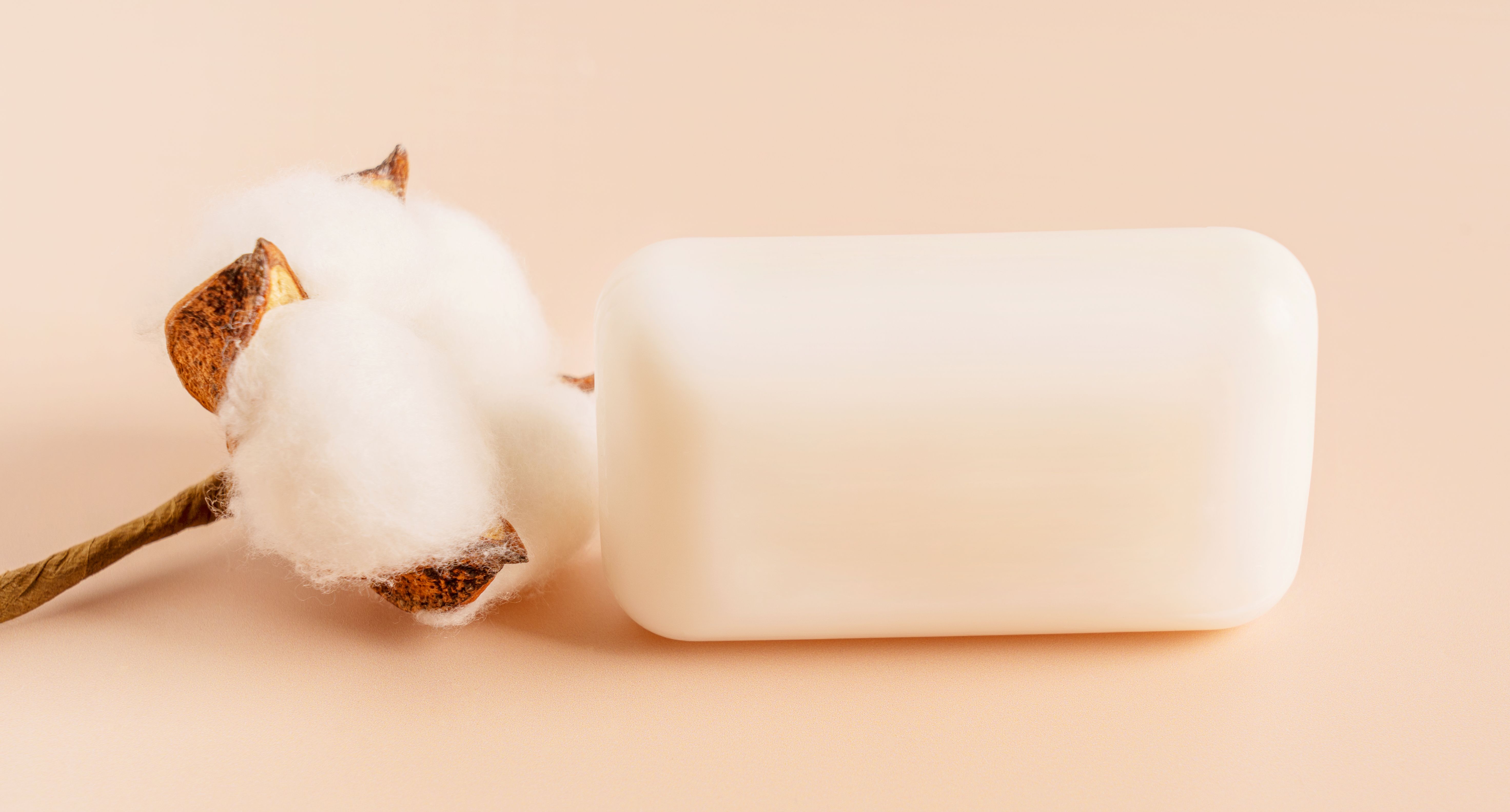 organic cotton fabric