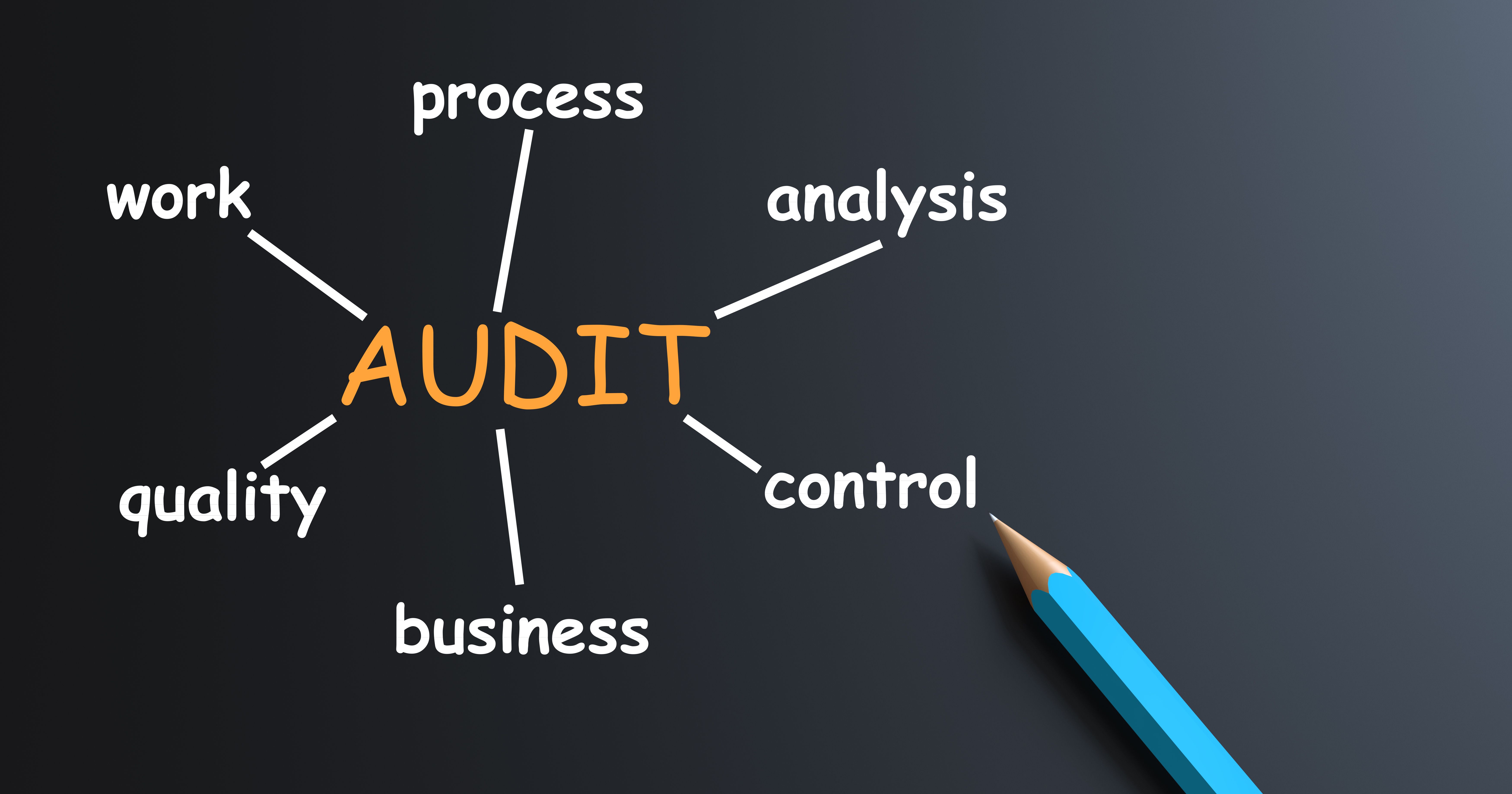 internal audit process