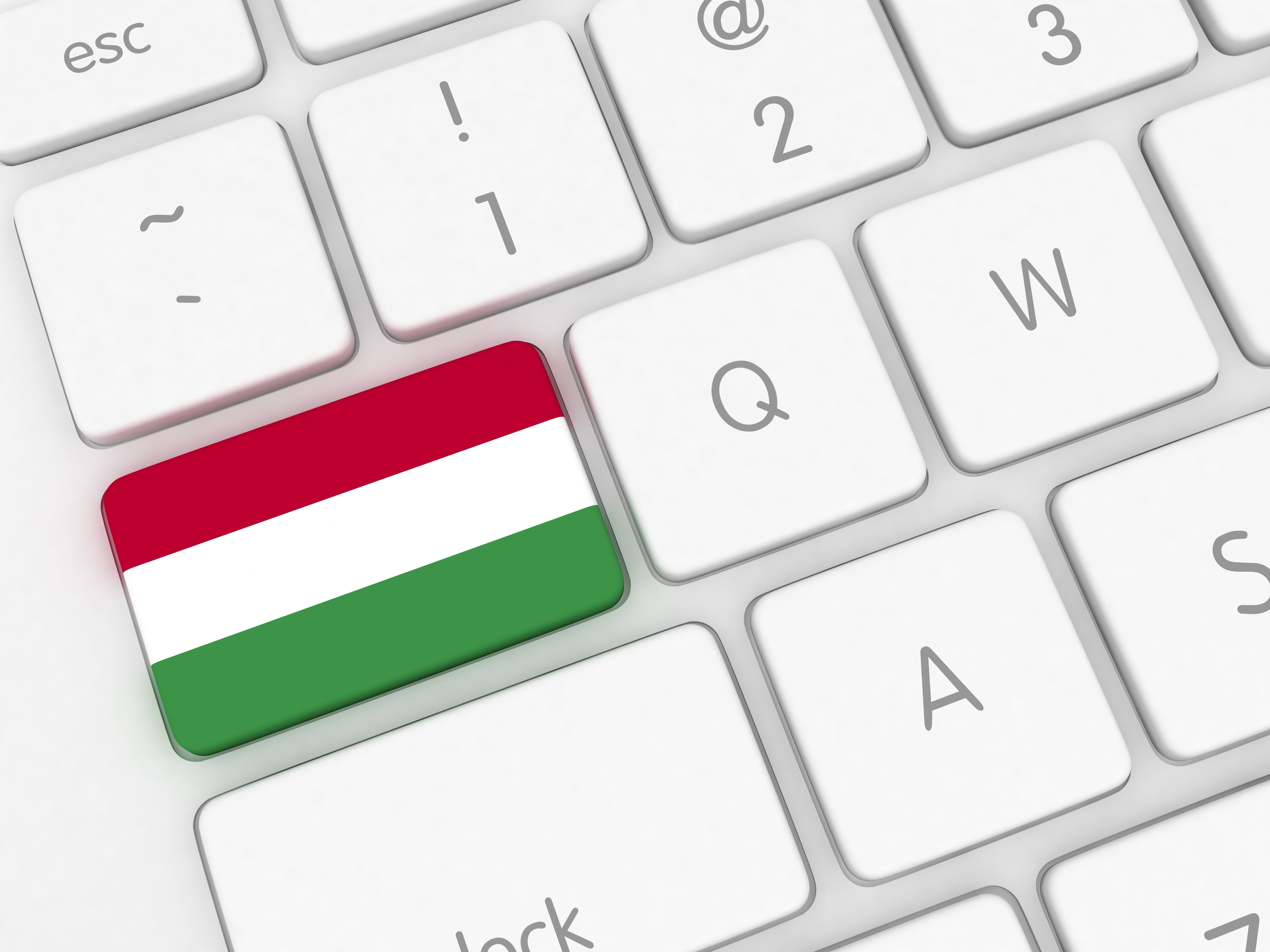 hungarian business online