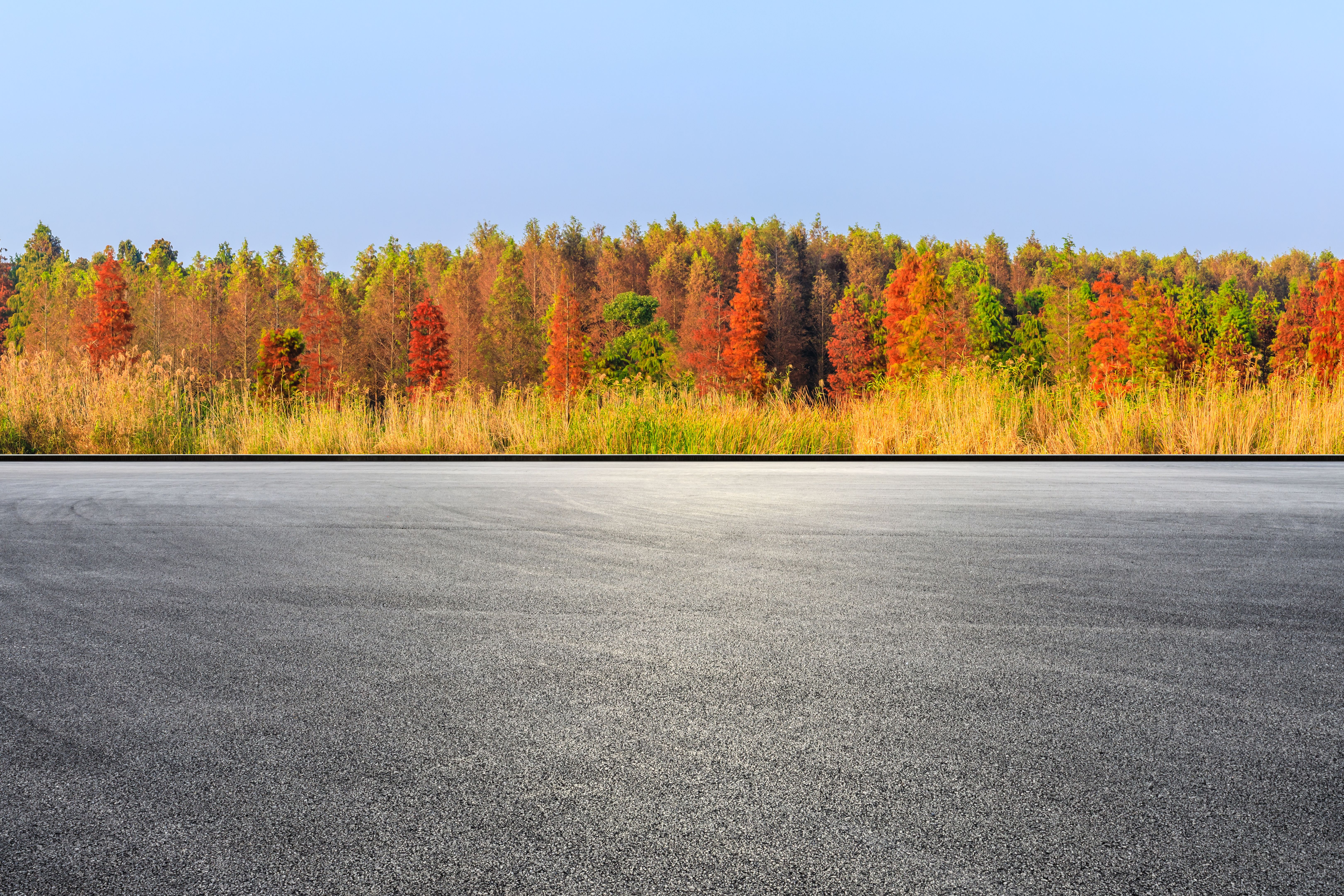 Race track ground and beautiful colorful forest landscape in autumn