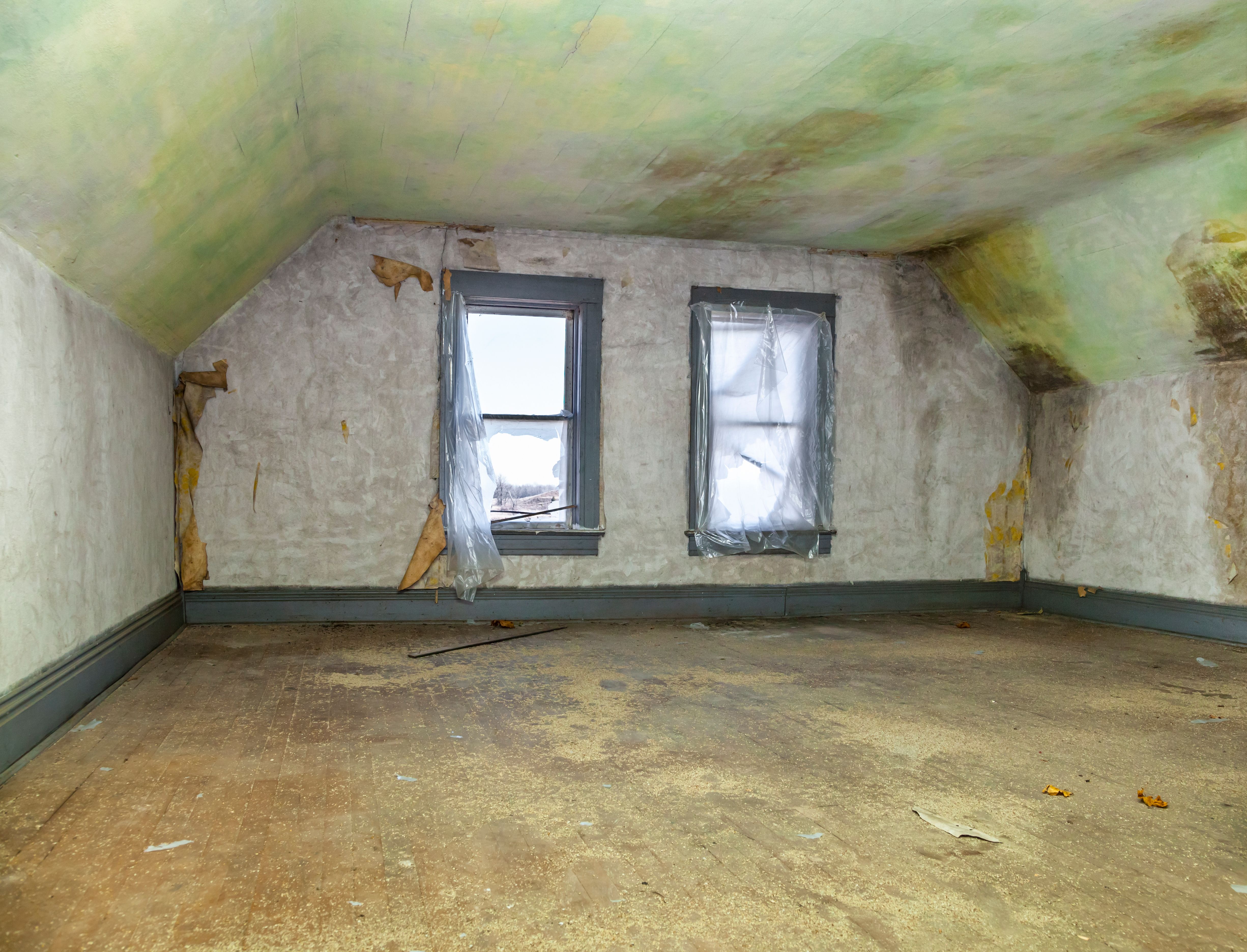 attic mold