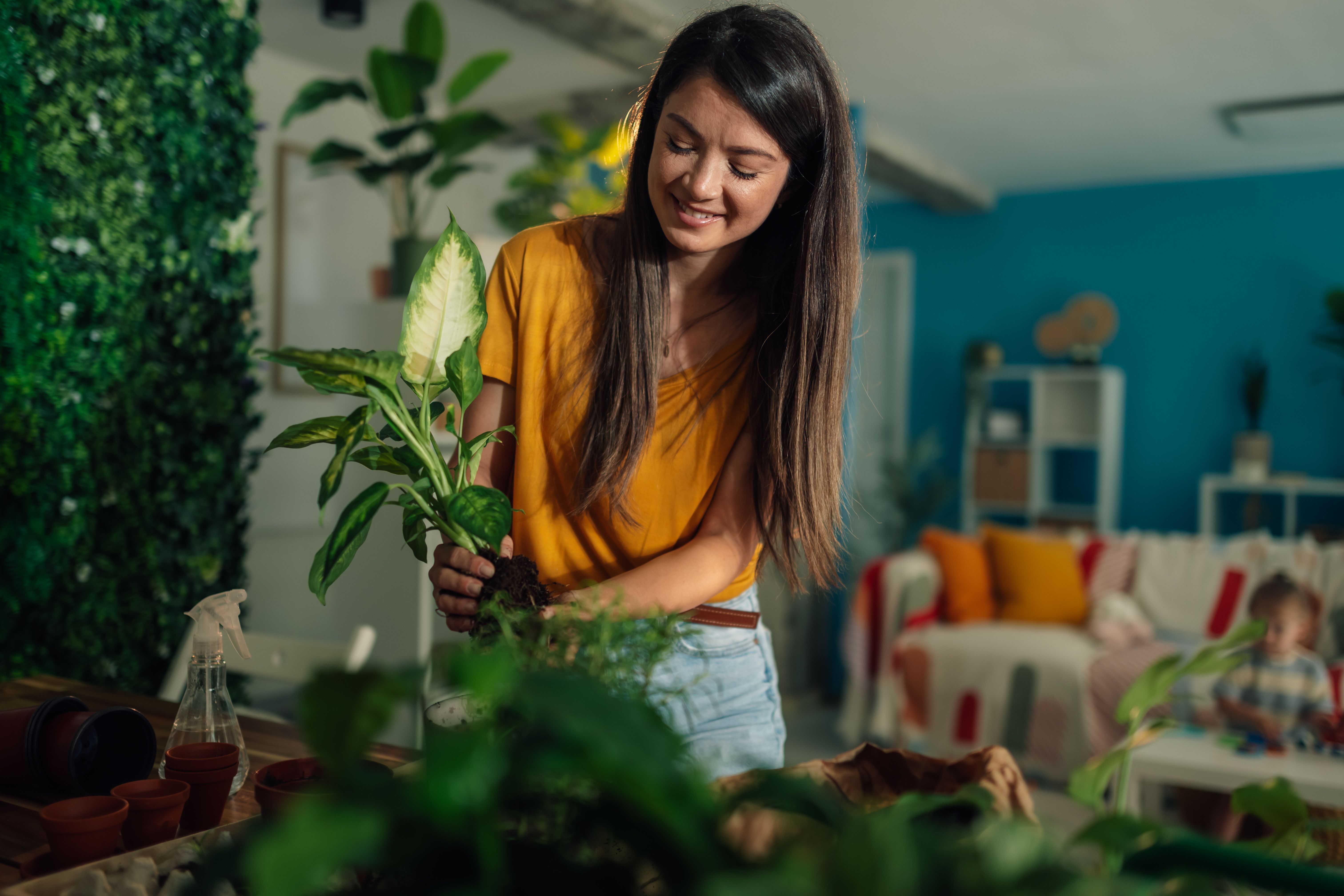 Woman repotting plant at home with child playing in background