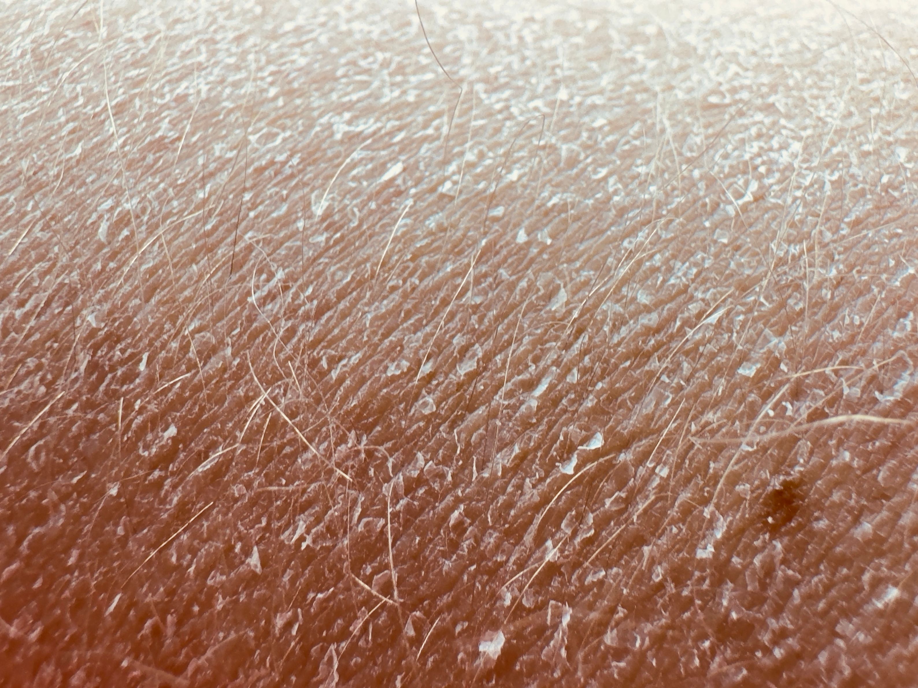 microcement surfaces