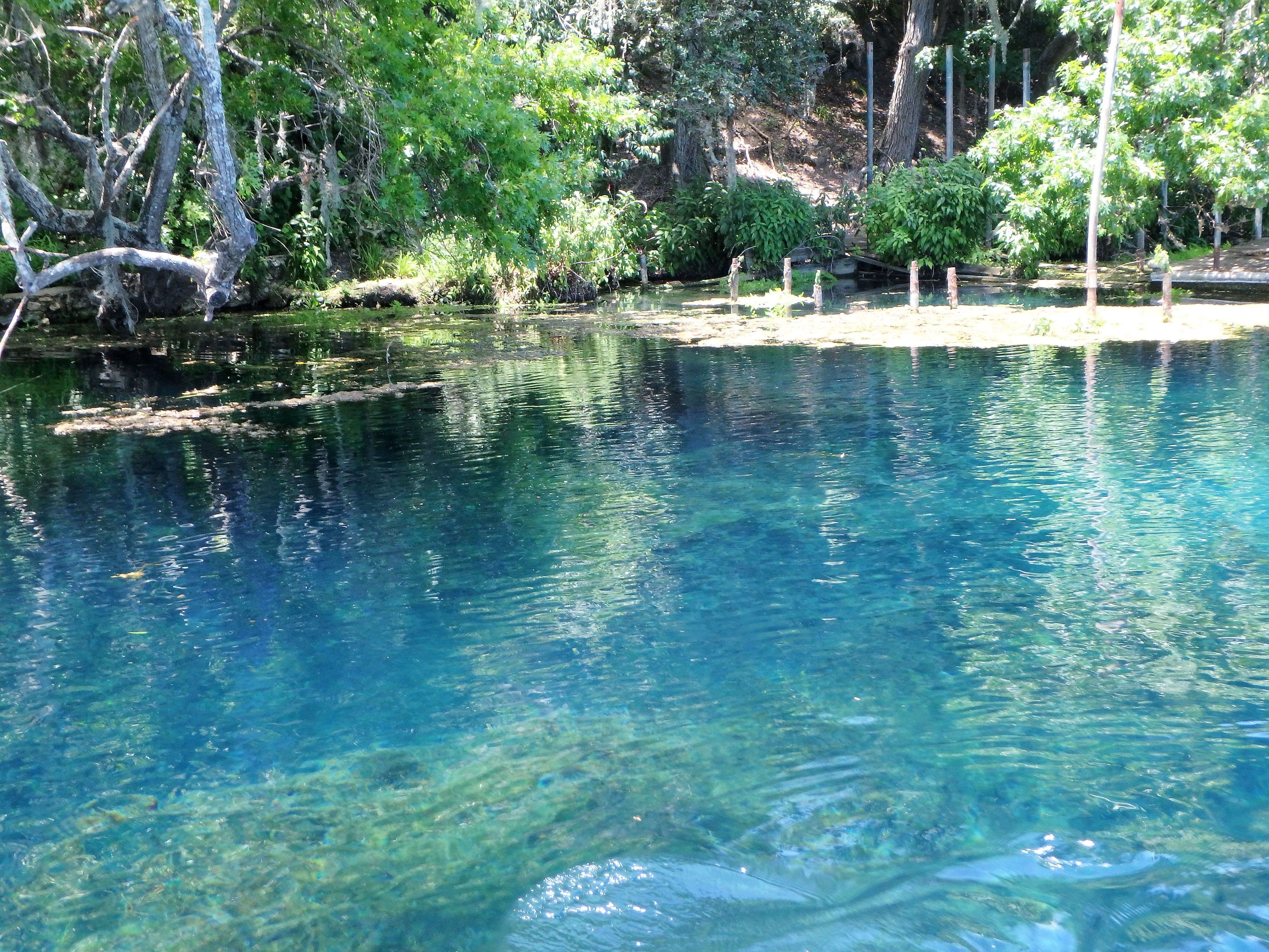 Spring Lake Spring Lake