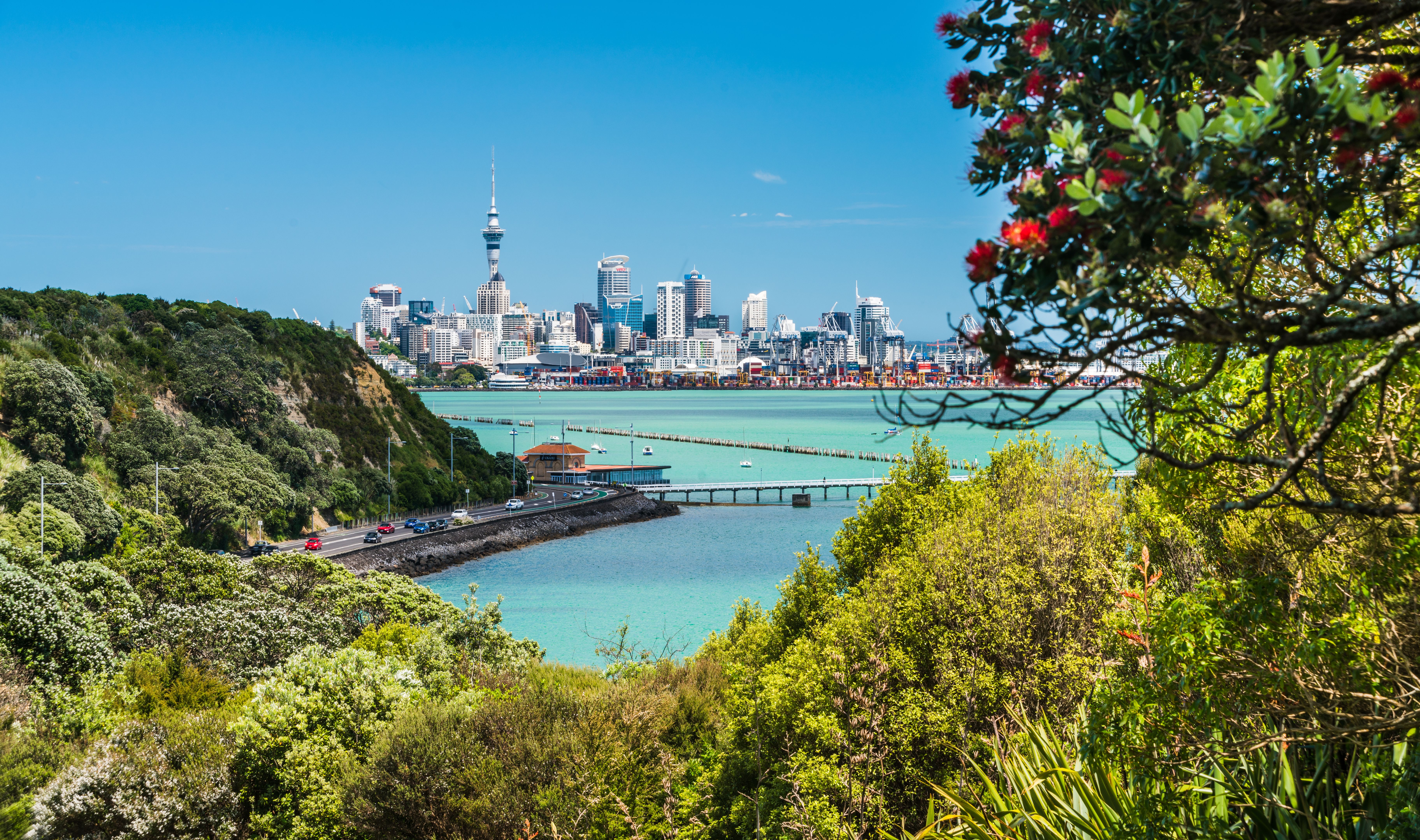 auckland skyline