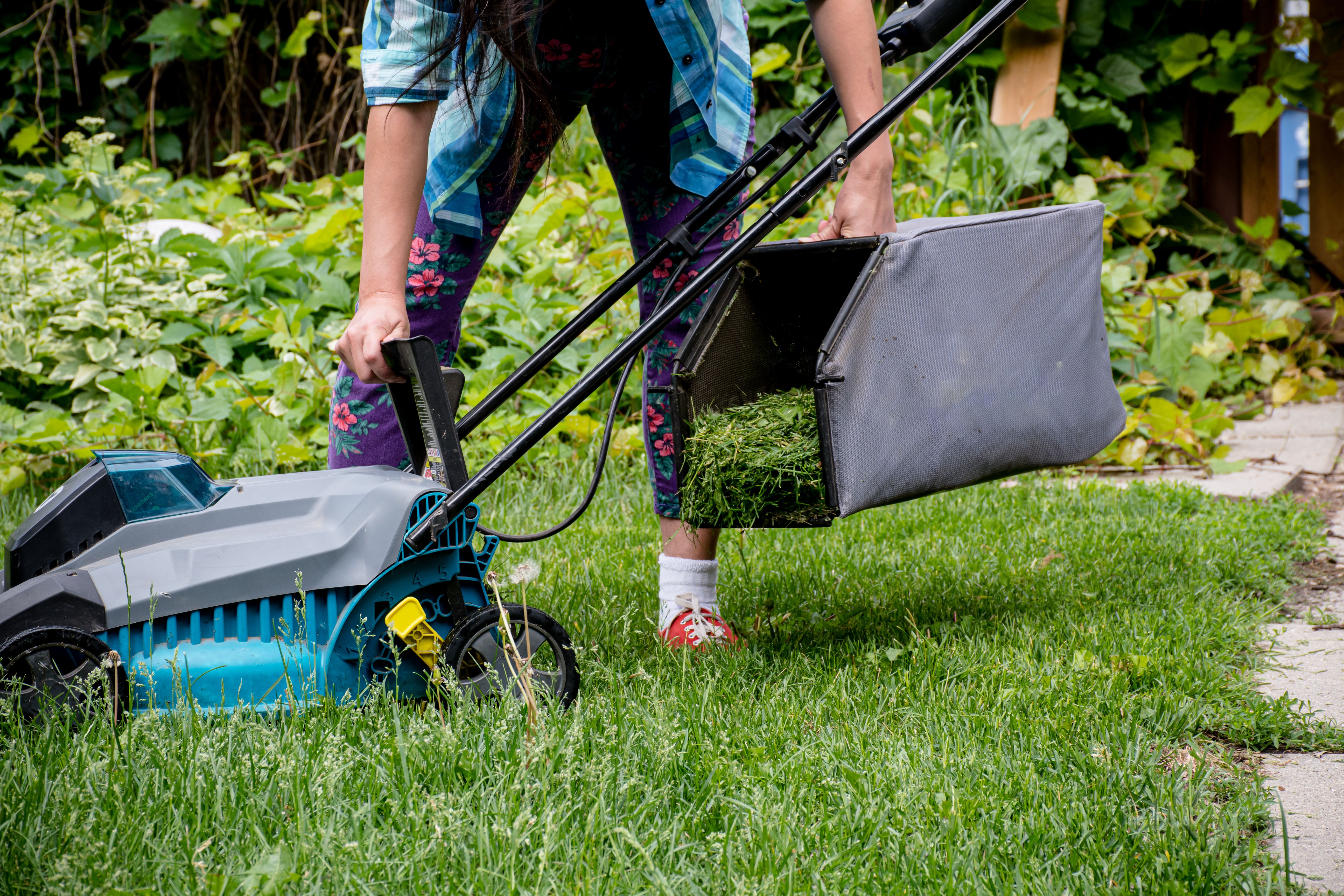 sustainable lawn care