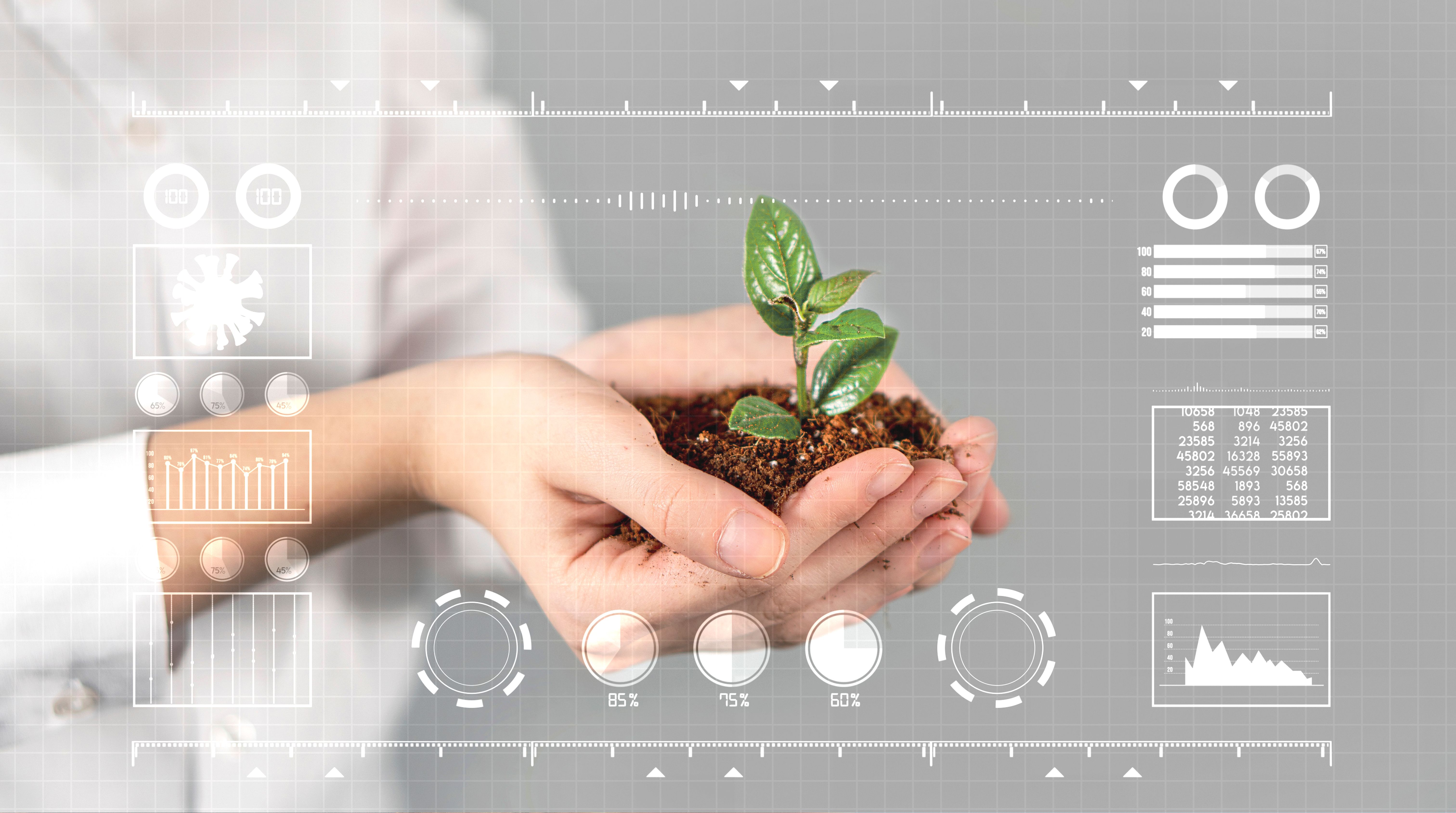 Mujer sosteniendo una planta verde dentro de sus manos. Ecología, calentamiento global, cambio climático, agricultura, conceptos de contaminación ambiental. Mujeres con fondo borroso sosteniendo y tocando la proyección holográfica de una planta con an