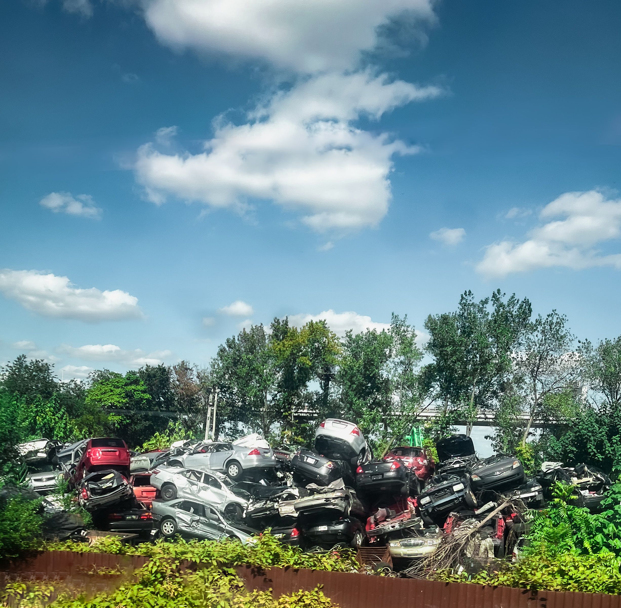 auto salvage yard